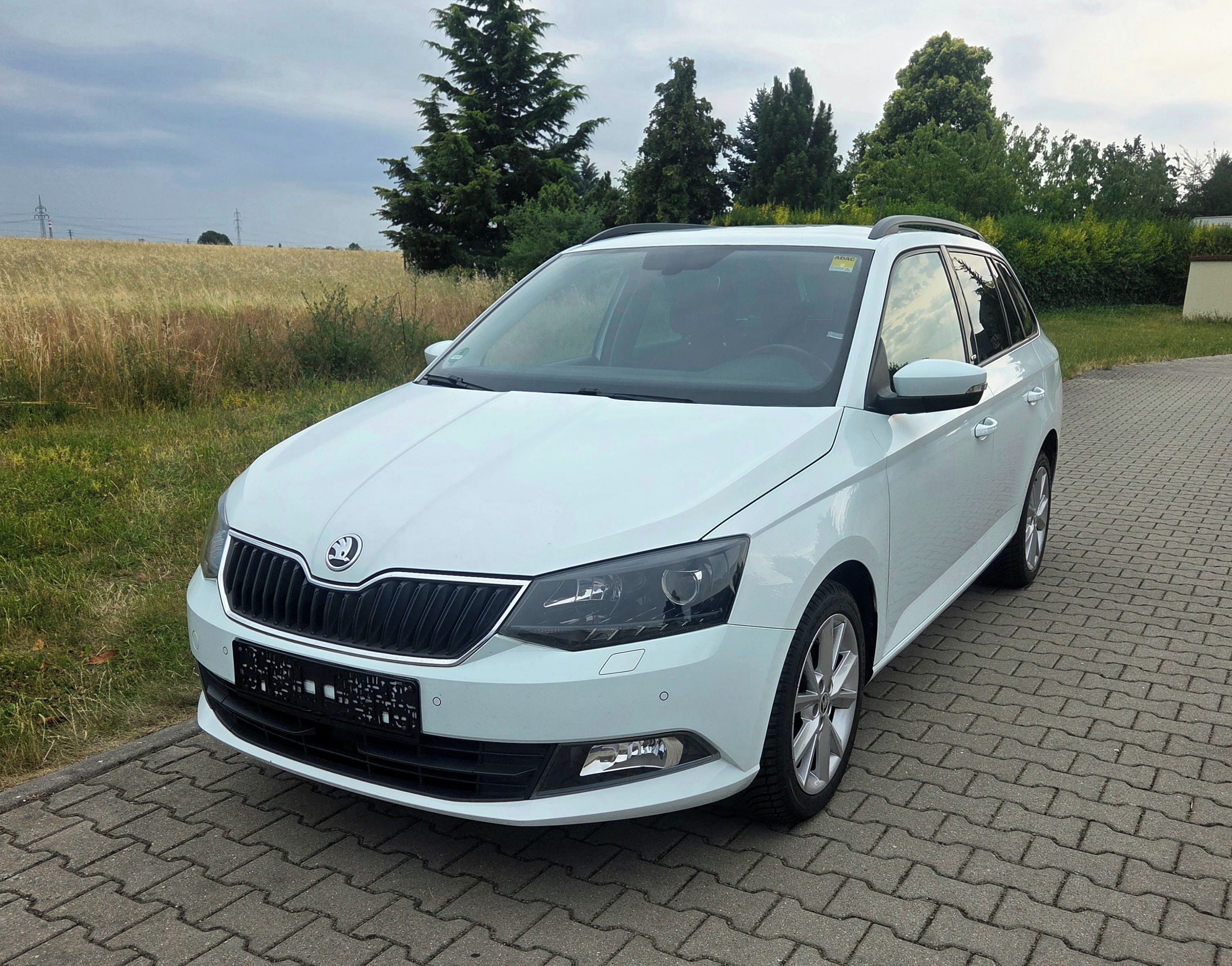 Škoda Fabia, Joy 1.4 TDI 66kw, tažné
