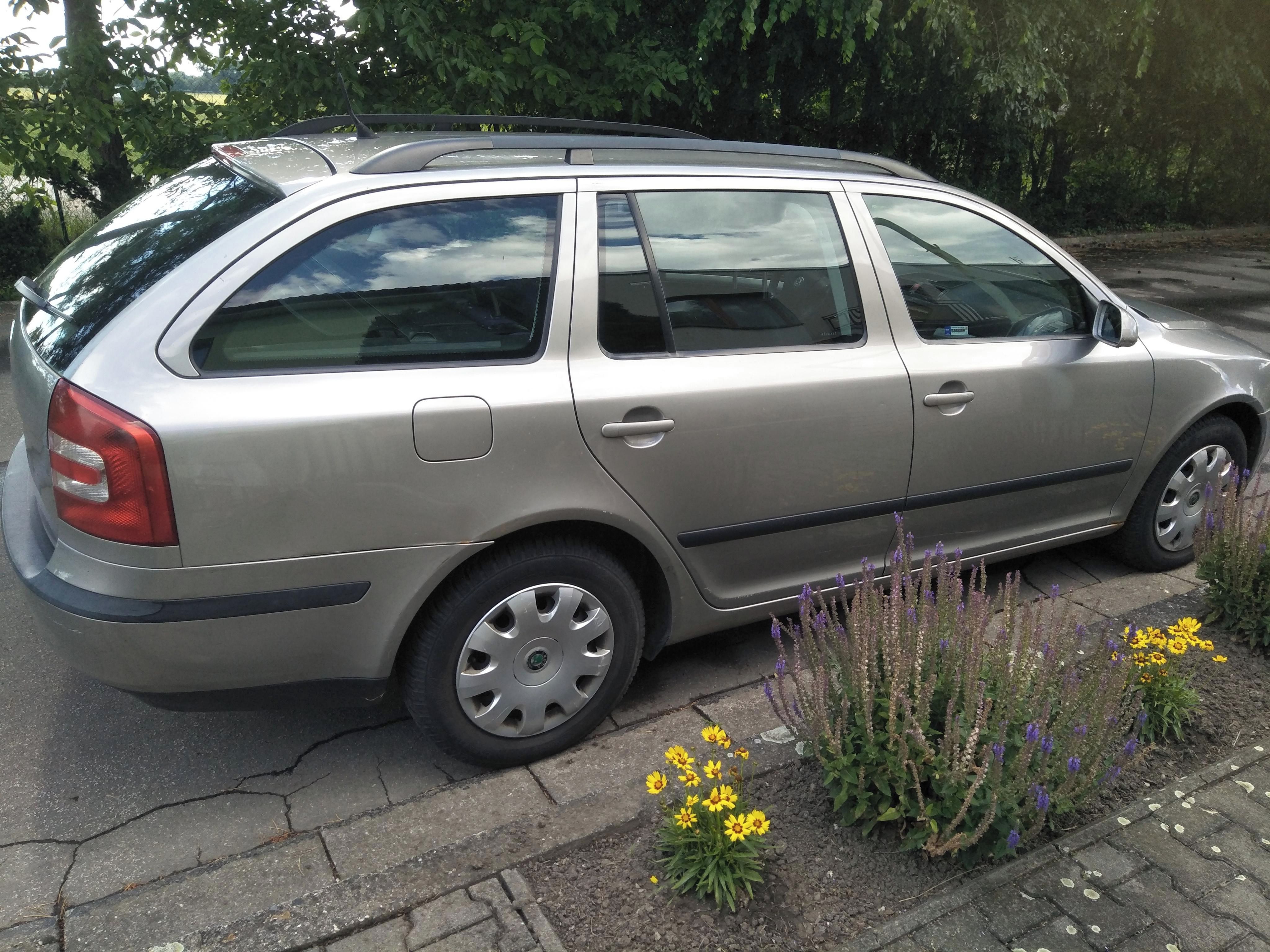 Škoda Octavia, Škoda Octavia,1.9TDI, 77kW.