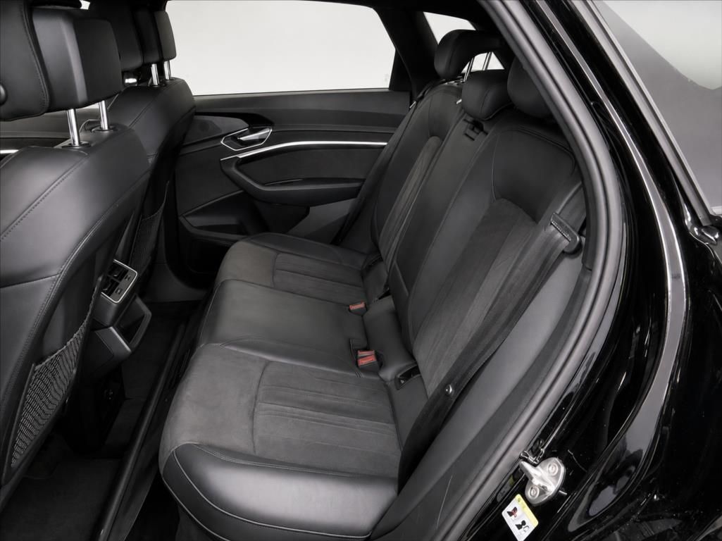 Audi e-tron, 50 Quattro Proline Limited - fotka 6