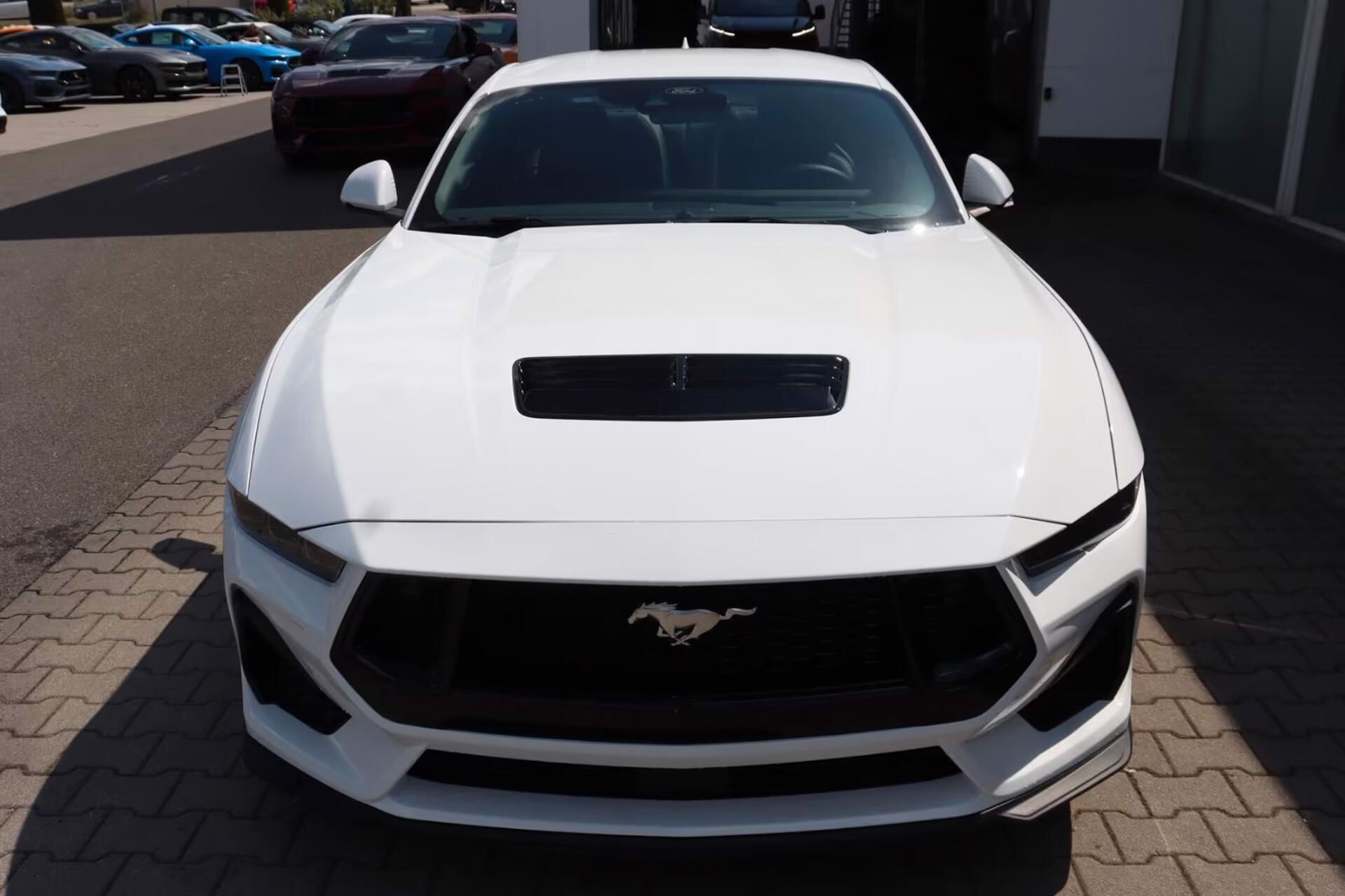 Ford Mustang, Fastback 5.0 MagneRide - fotka 3