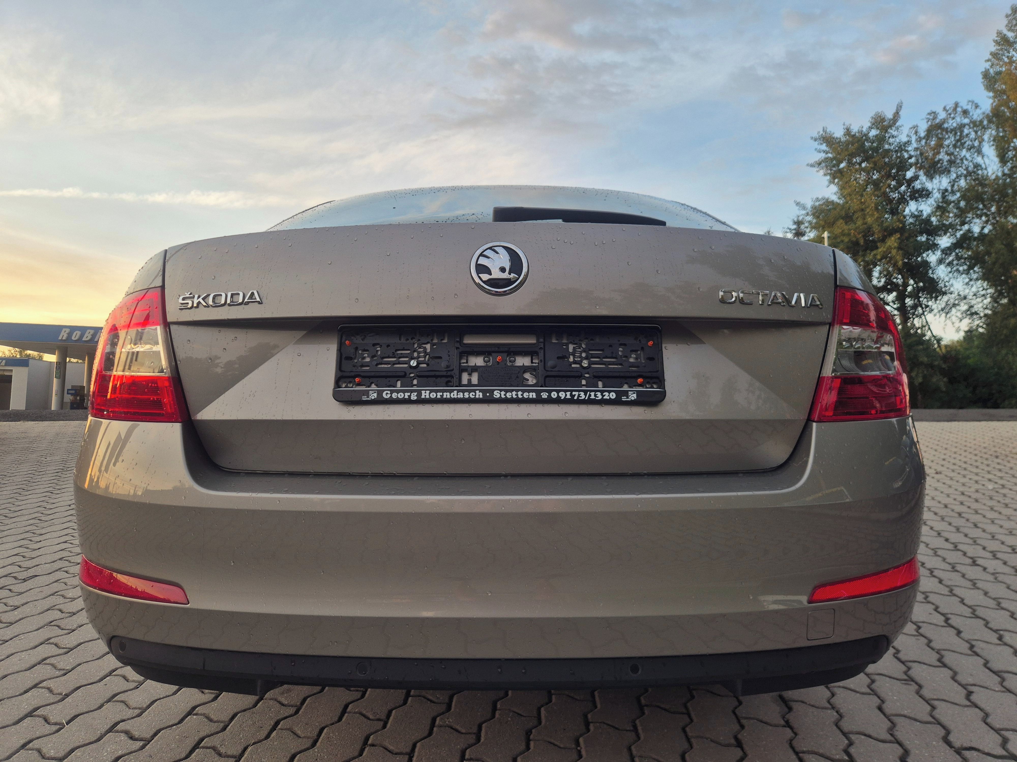 Škoda Octavia, STAV NOVEHO VOZU - fotka 5