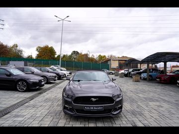 GT 5.0 Premium /AT/kůže/440 PS