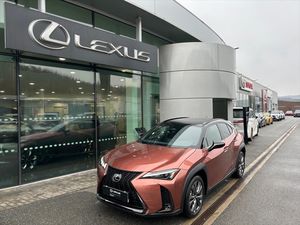 Lexus UX 300h, 2.0   F Sport Design Bi- Tone