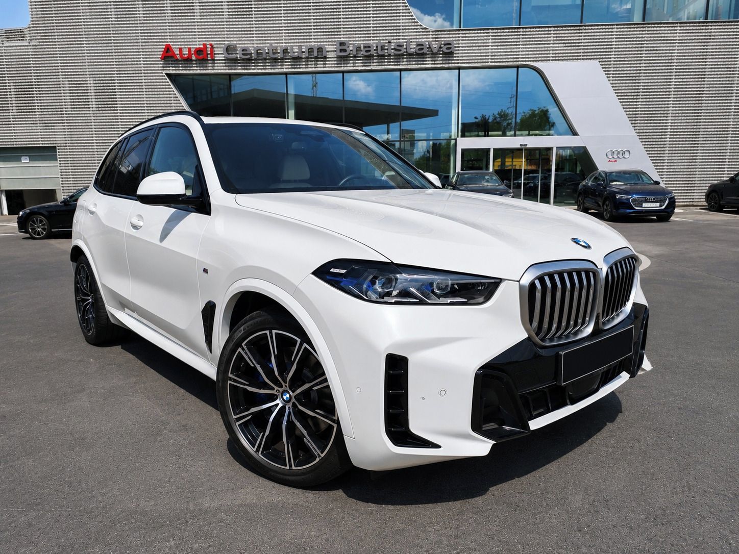 BMW X5, Individual Záruka Servis zadar - fotka 3