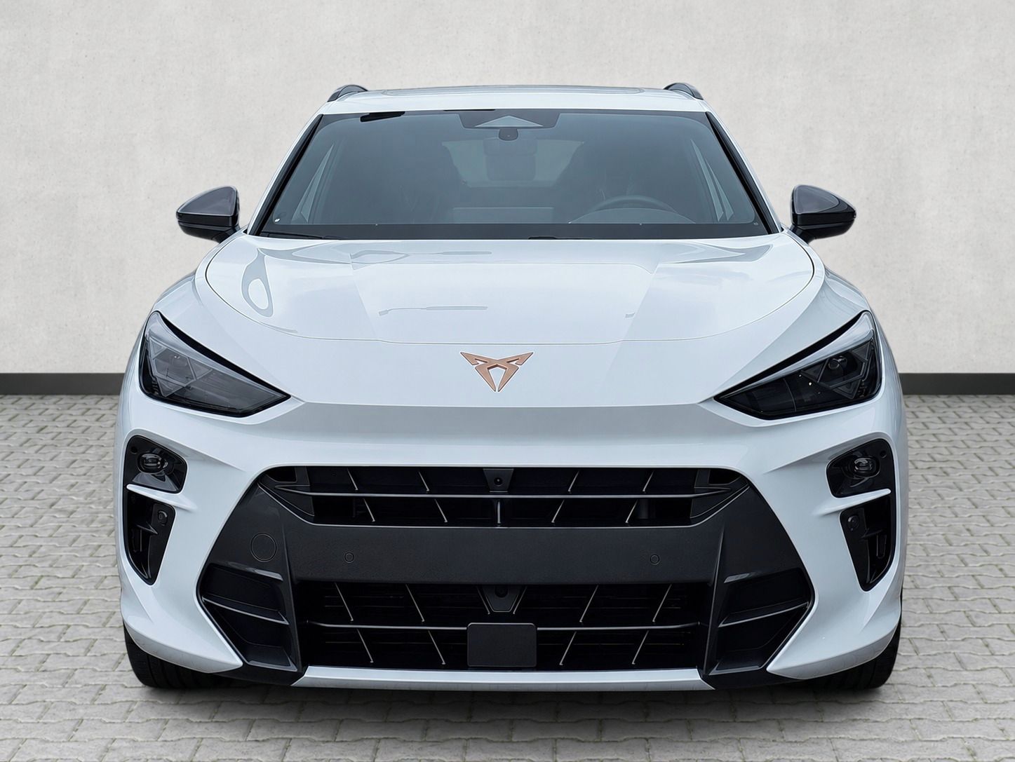 Cupra Terramar, VZ 265 PS sleva 27,5% z ceníku