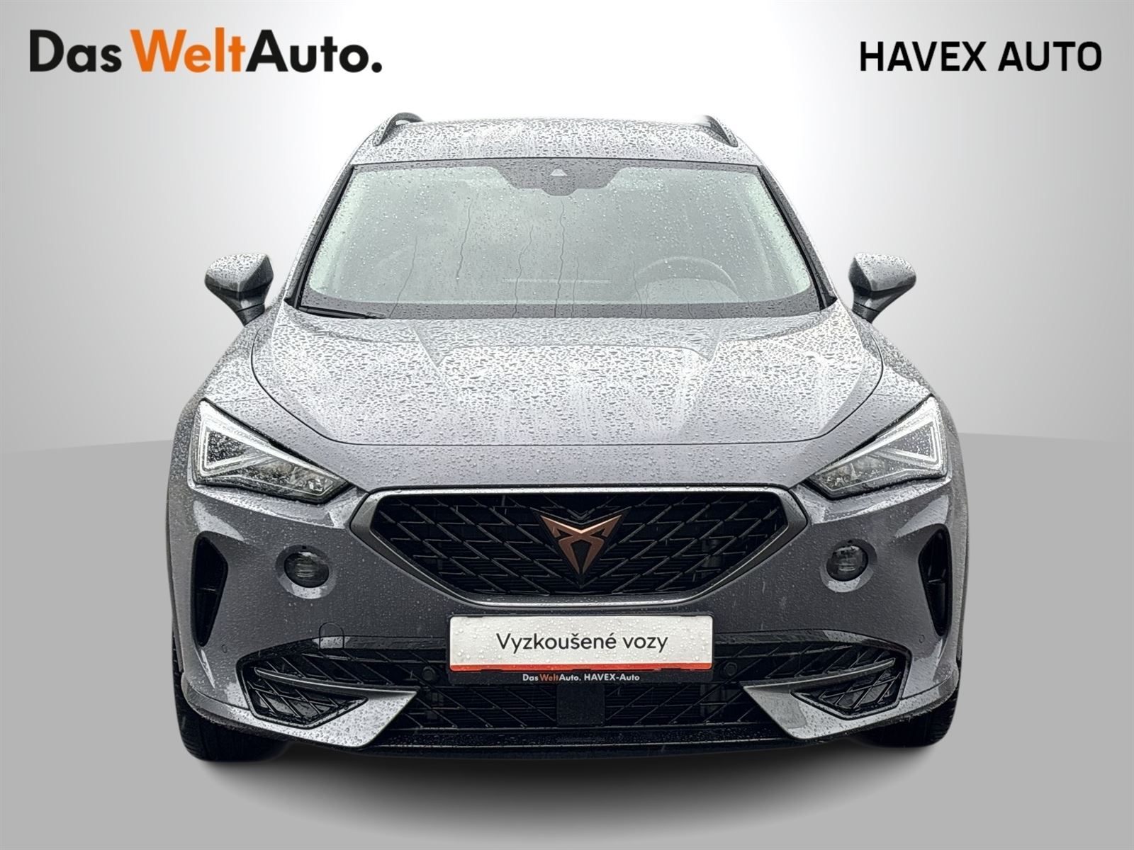 Cupra Formentor, 1.5 TSI DSG - fotka 4