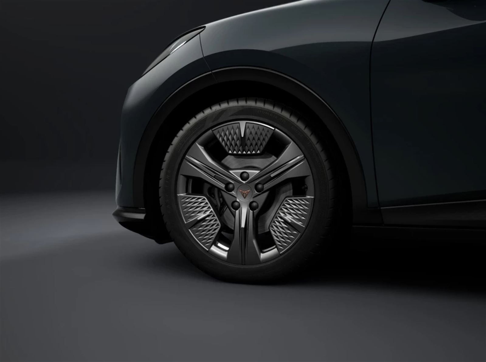 Cupra Raval, Endurance - fotka 5