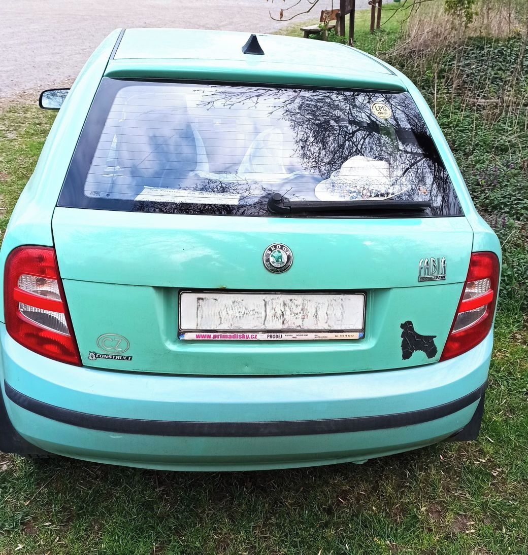 Škoda Fabia, Benzín/LPG, pravidelný servis - fotka 2