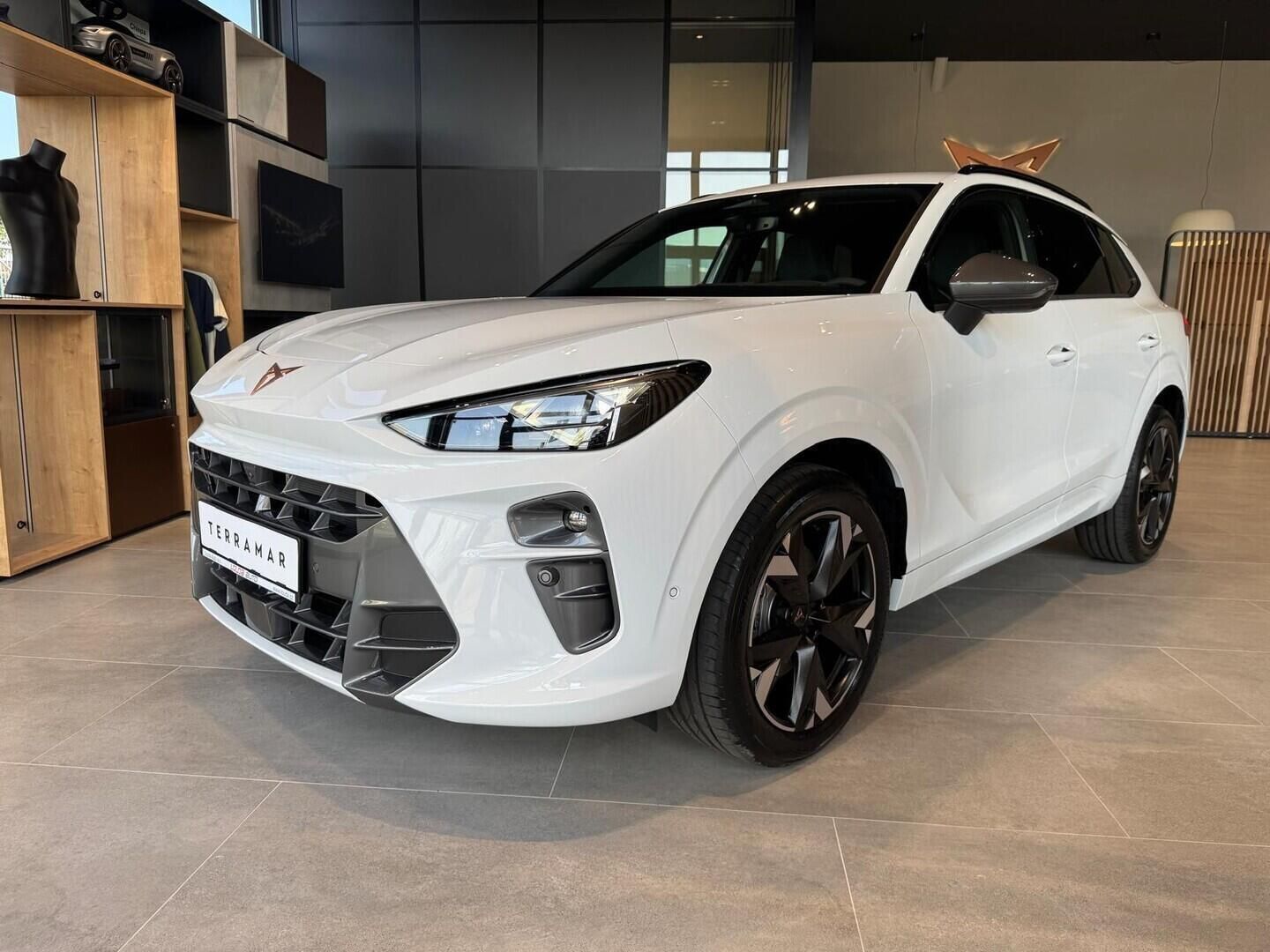 Cupra Terramar, 2.0 TSI 4WD 150 kW