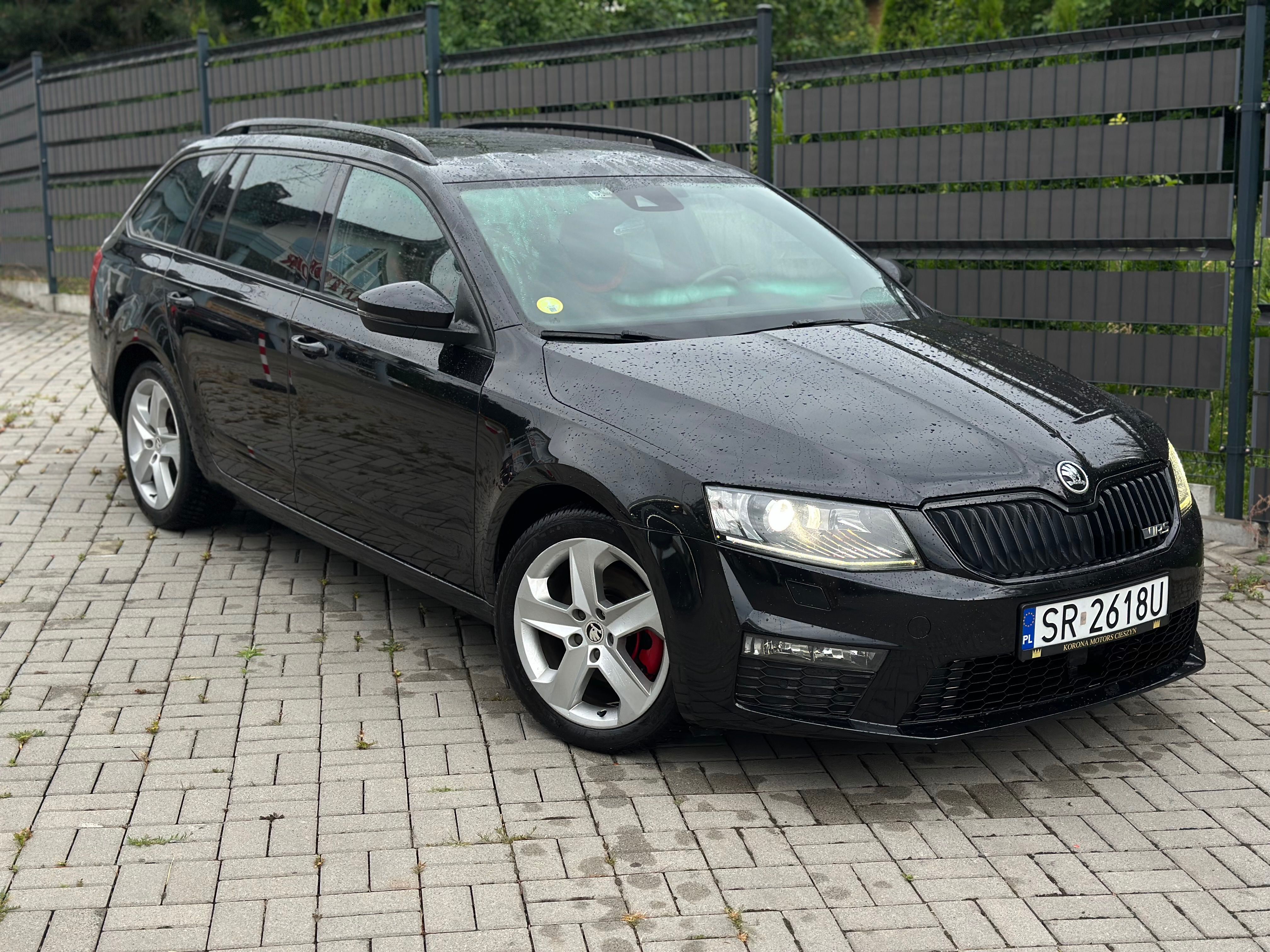 Škoda Octavia, 2.0 TDI(GREEN TEC) DSG RS - fotka 6