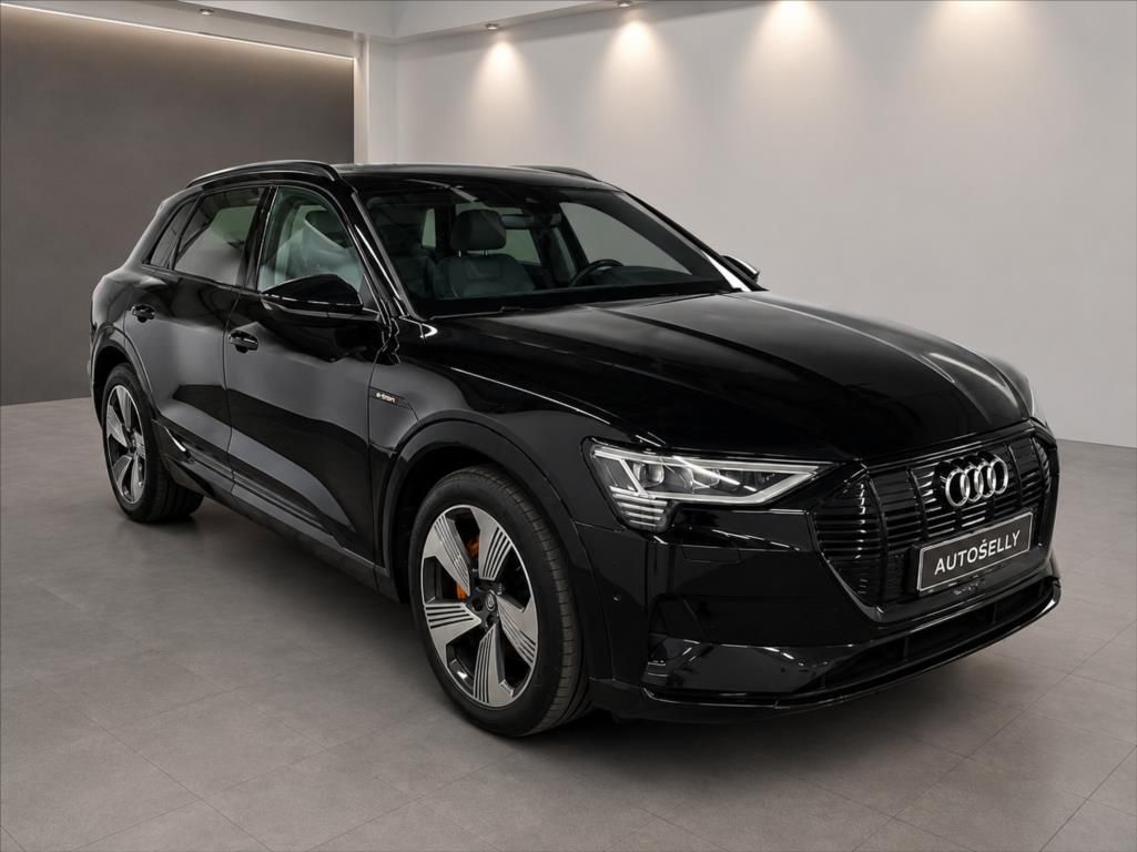 Audi e-tron, 50 Quattro Proline Limited - fotka 3