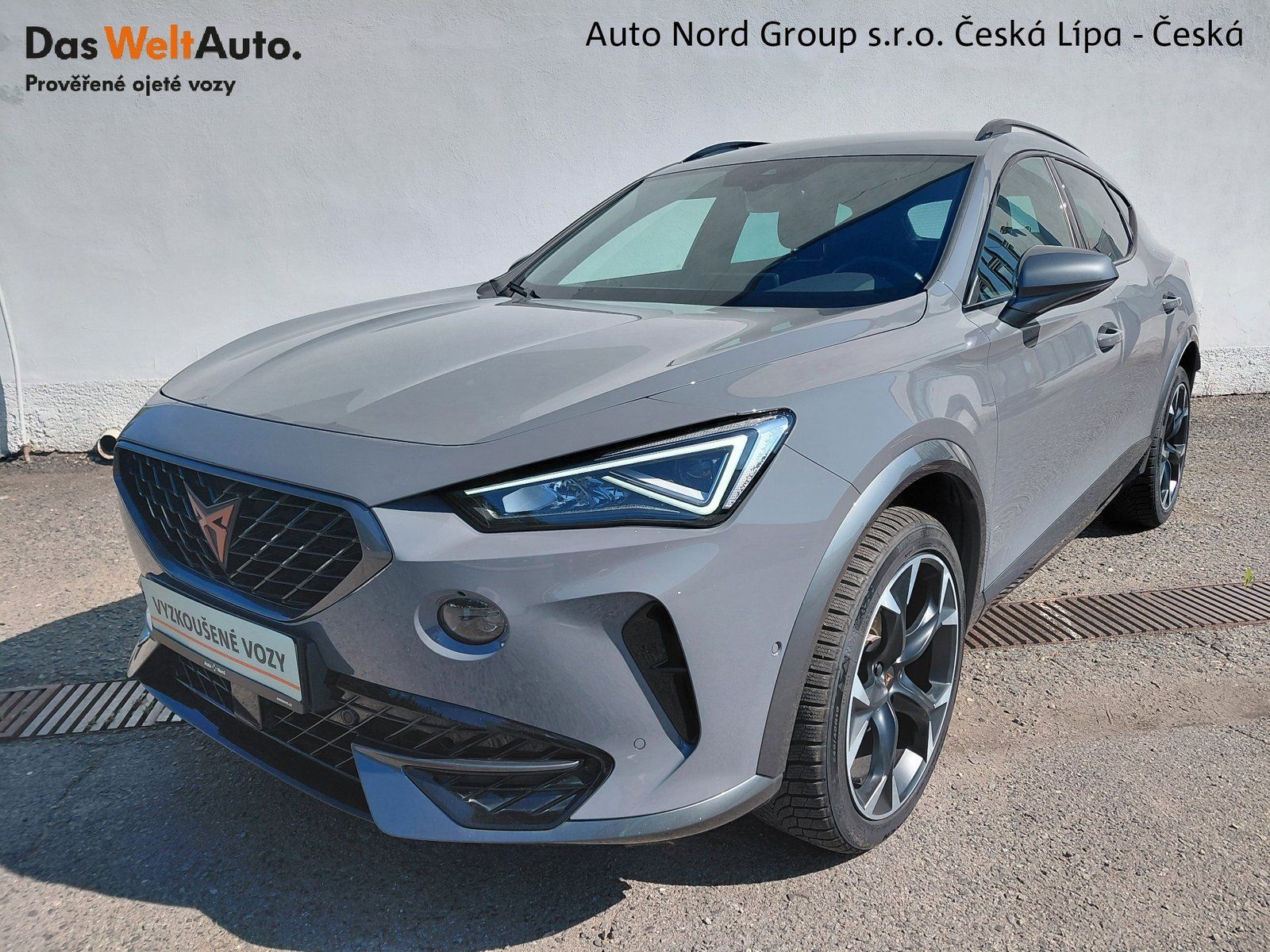 Cupra Formentor, Formentor 2.0 TSI 140 kW DSG