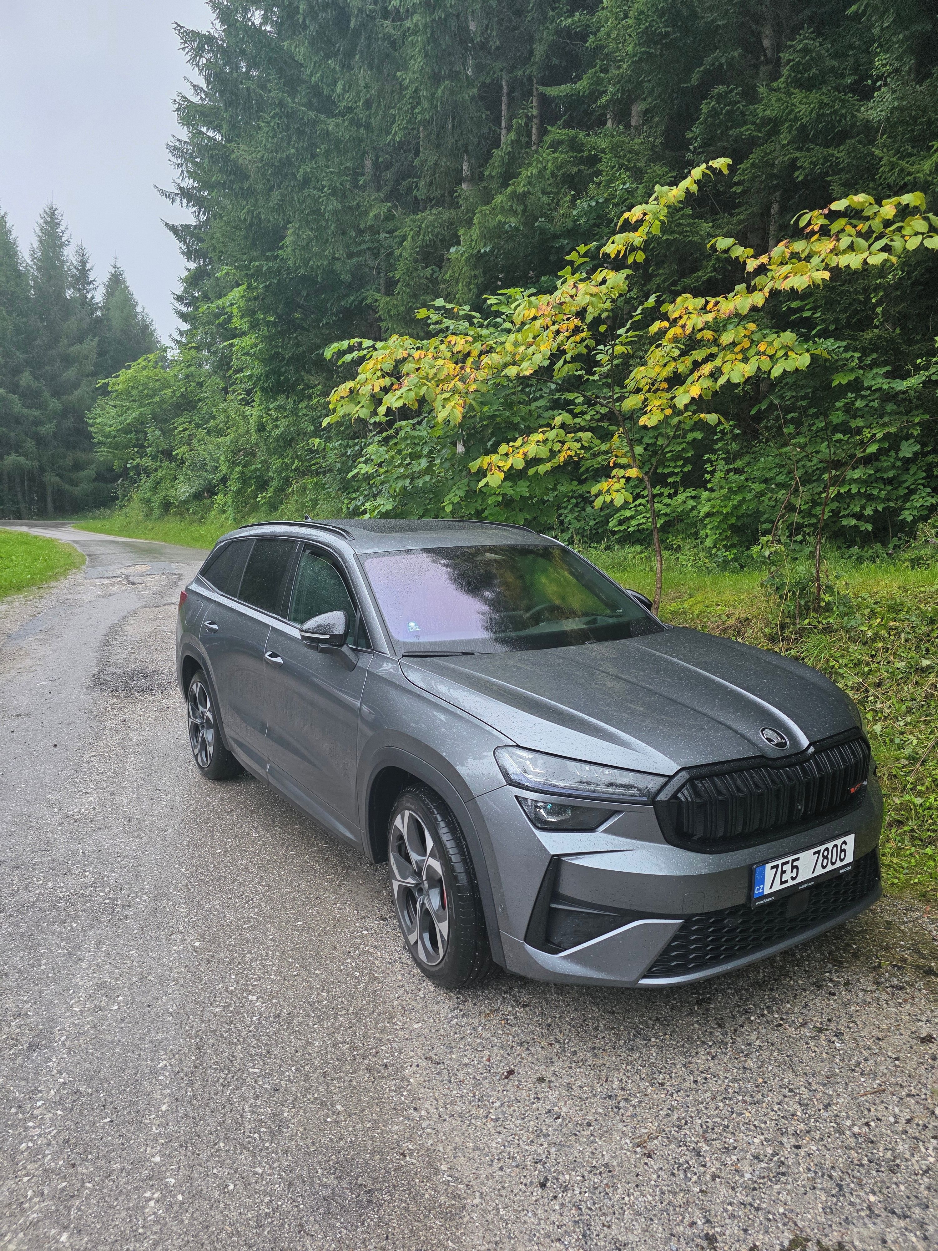 Škoda Kodiaq, Skoda Kodiaq RS