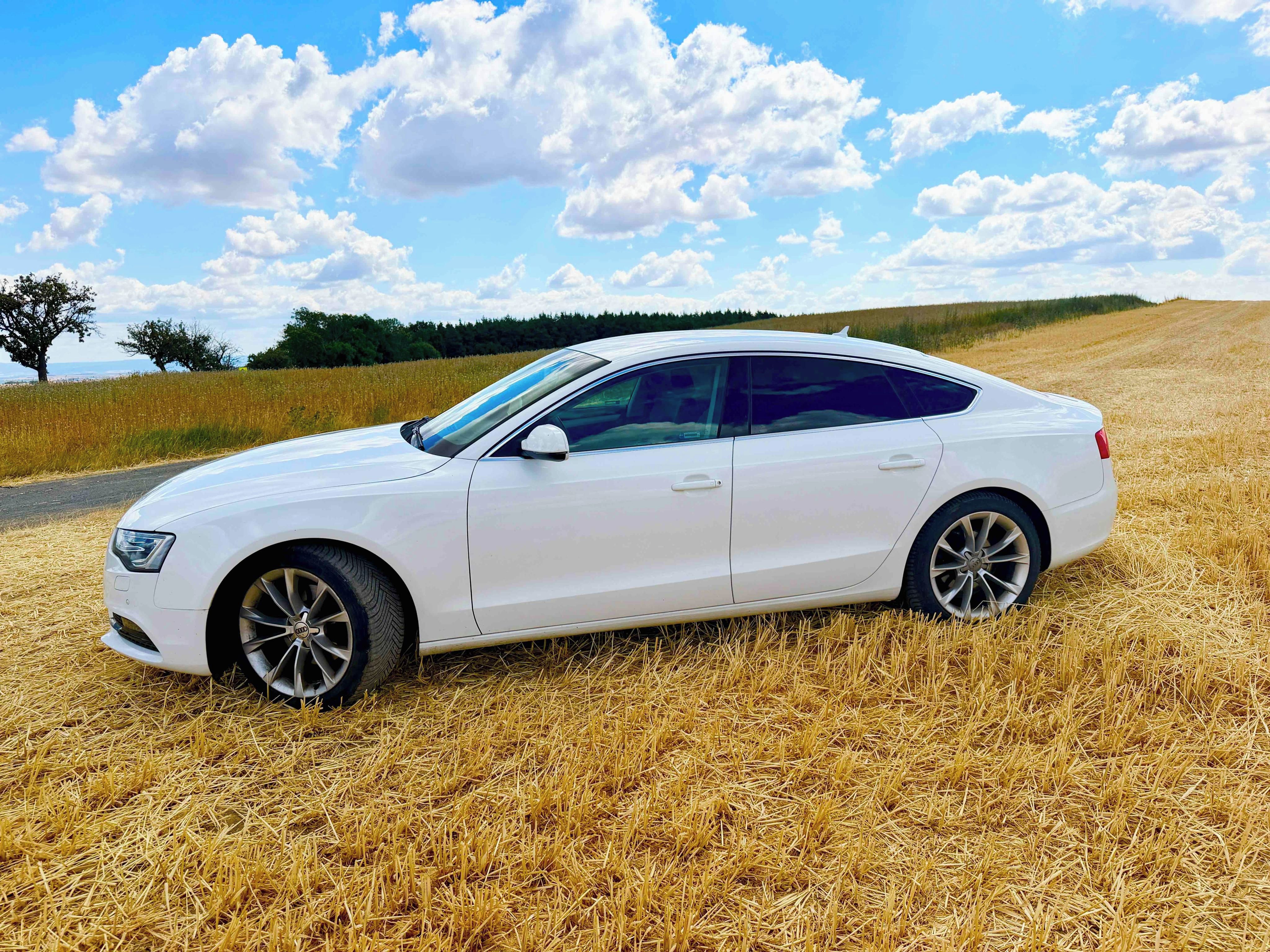 Audi A5, AUDI A5  3.0 TDI  4x4   S-LINE - fotka 4