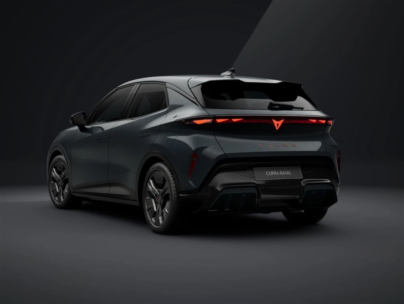 Cupra Raval, Endurance - fotka 3