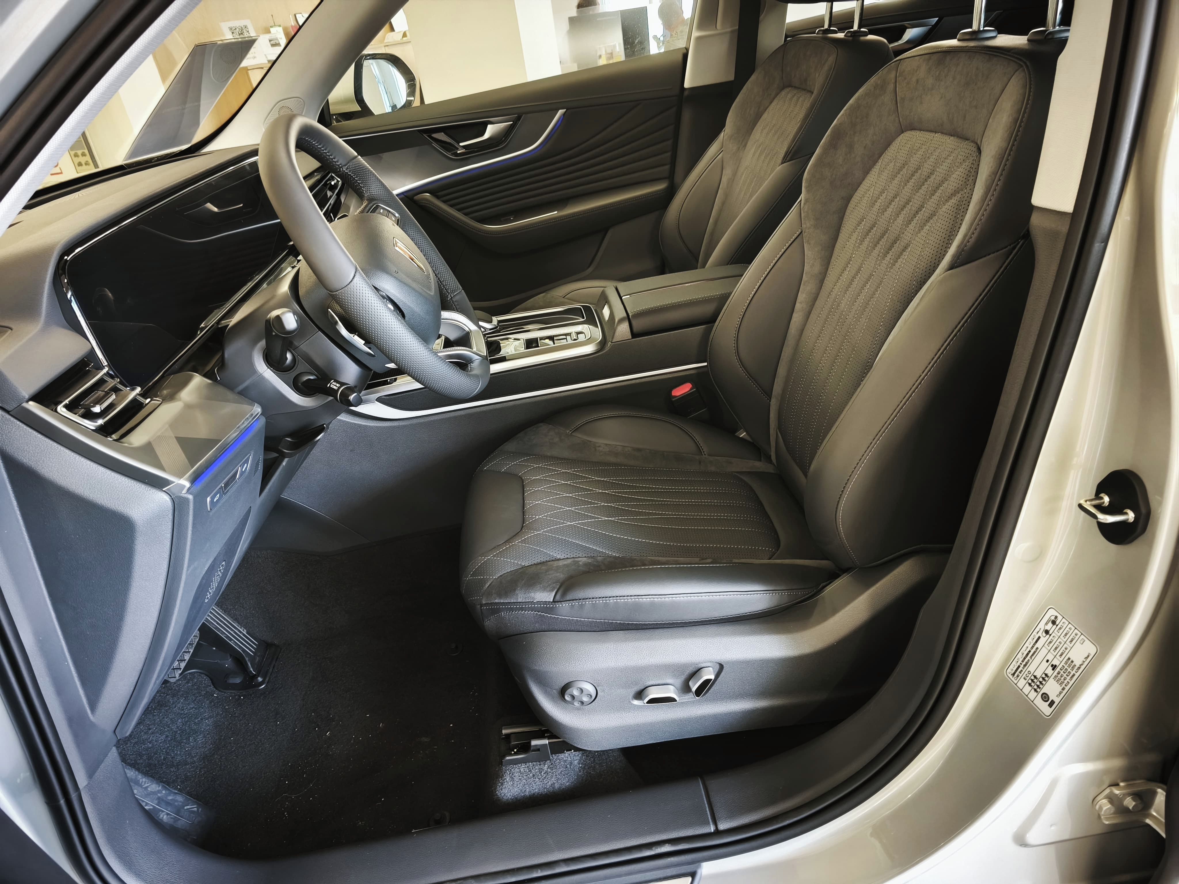 Hongqi HS5, 2.0T Executive 4W PlatinumGold - fotka 5
