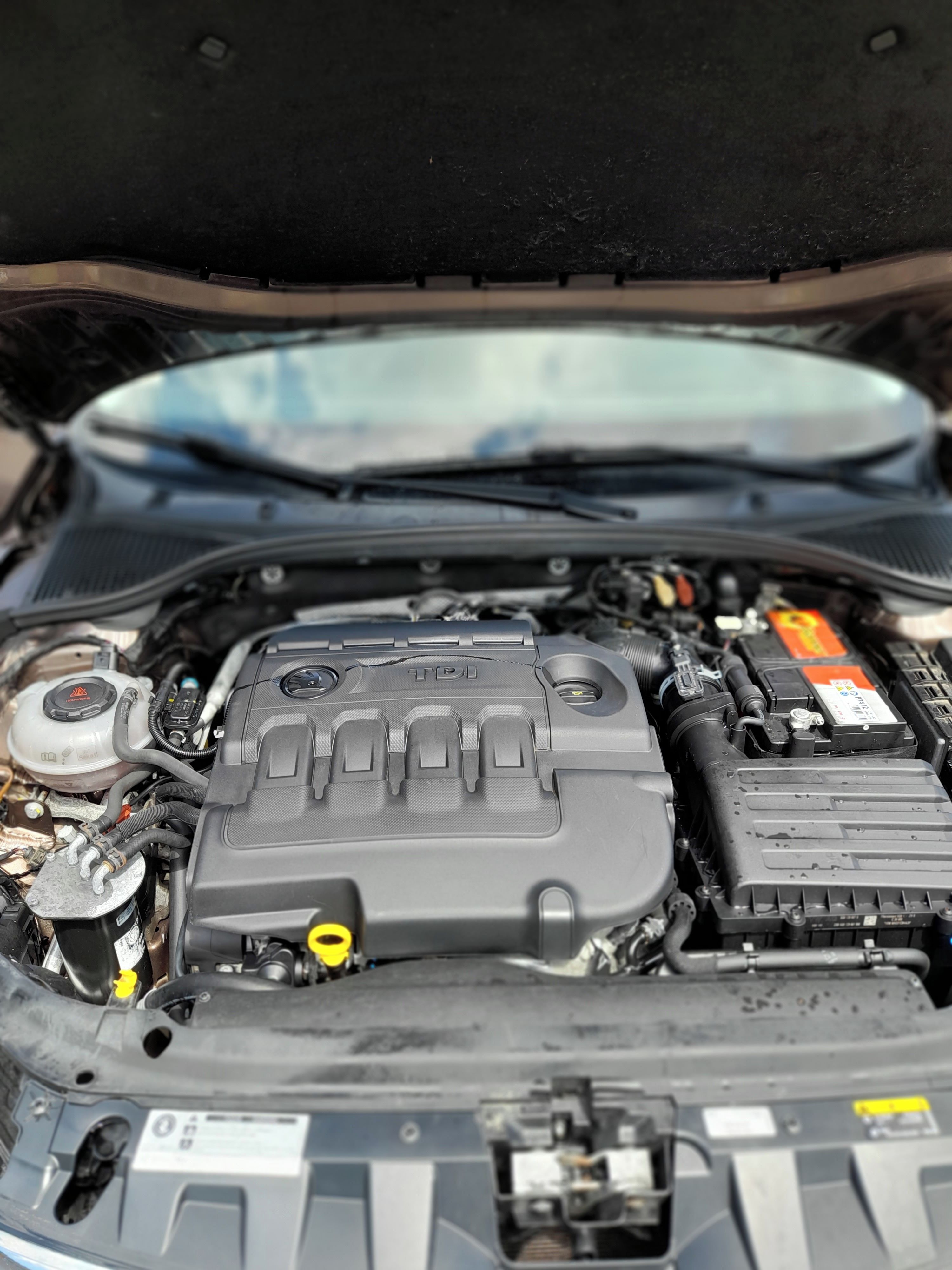 Škoda Octavia, 1.6.tdi - fotka 2