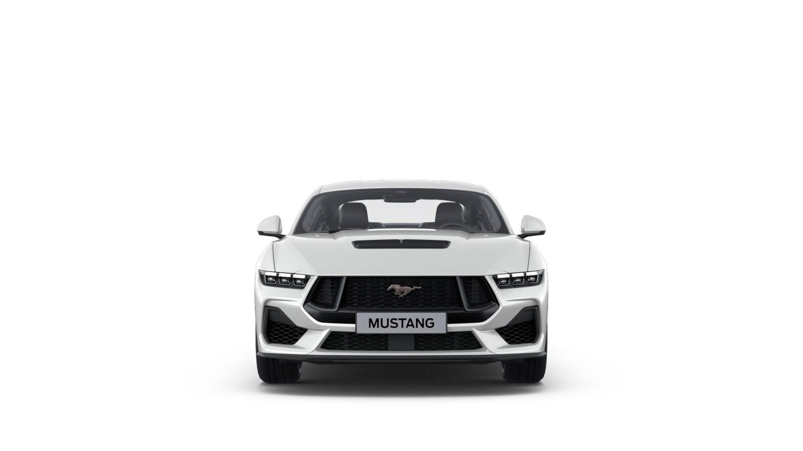 Ford Mustang, 5,0 V8 GT - fotka 2