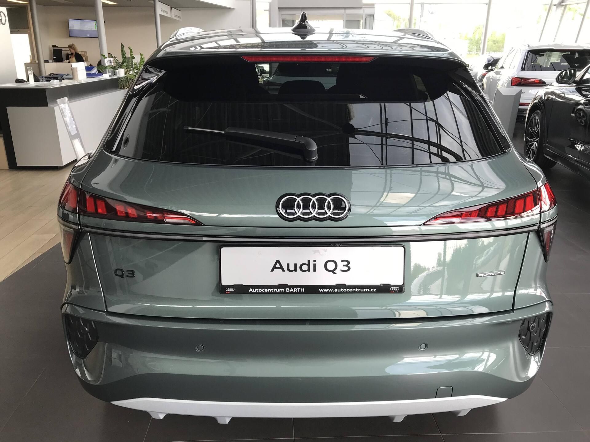 Audi Q3, quattro ST7 2,0TFSI - fotka 5