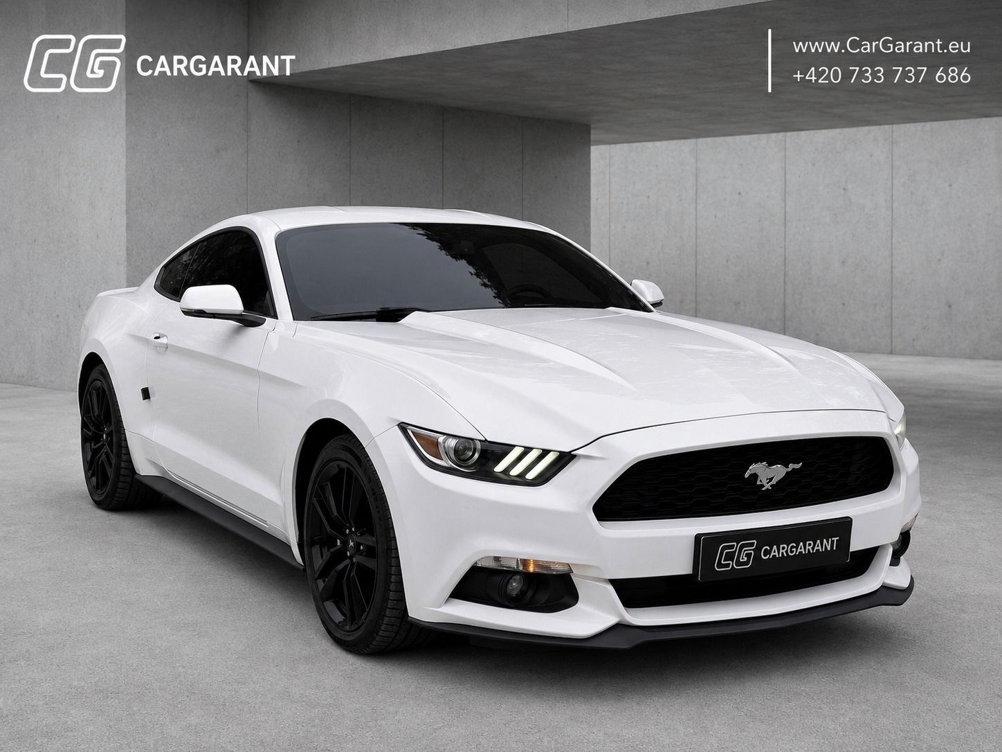 Ford Mustang, 233KW,DPH,LED,ADAPTIVNI,CHLAZE - fotka 5
