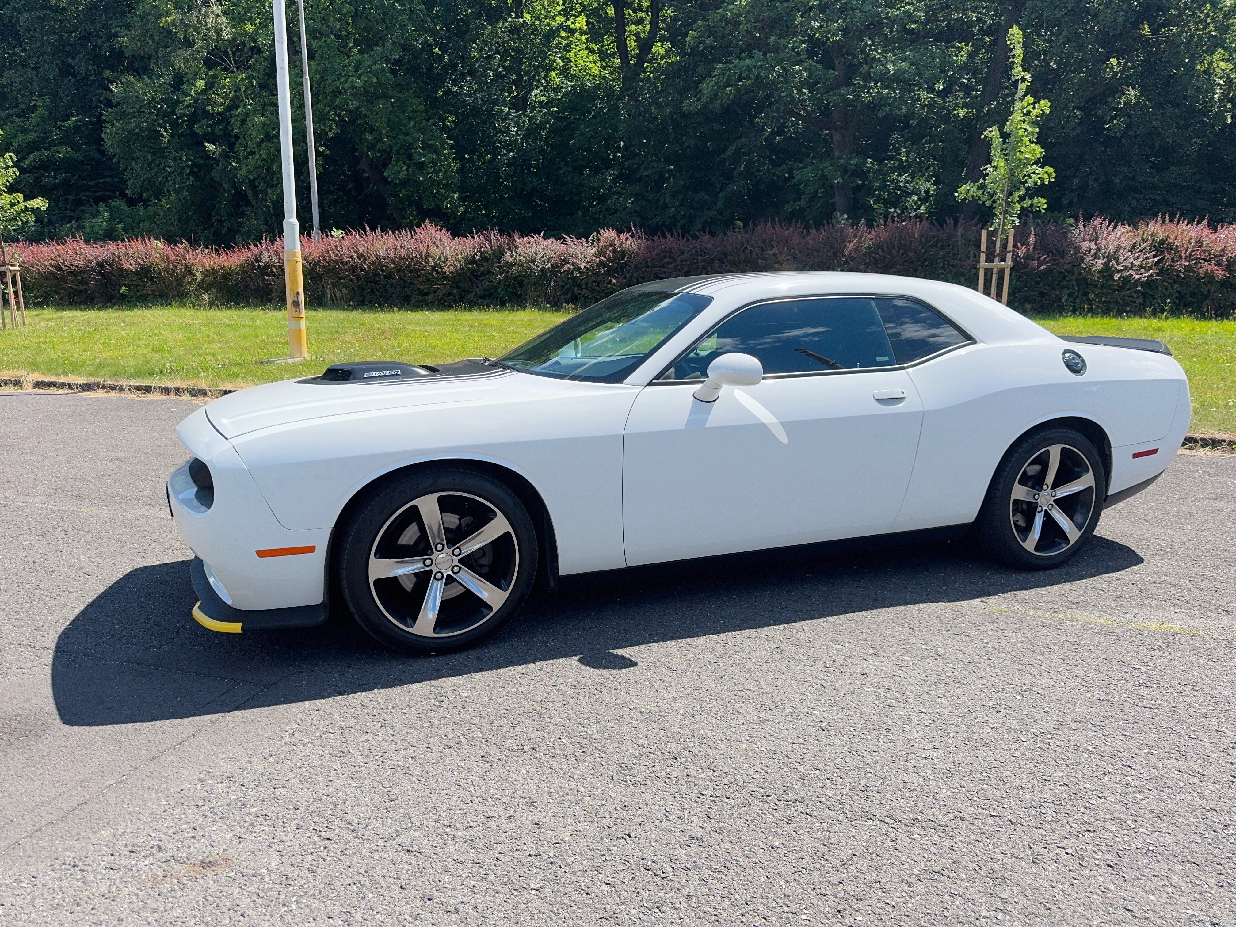 Dodge Challenger, Dodge Challenger 5.7 V8 Shaker - fotka 2