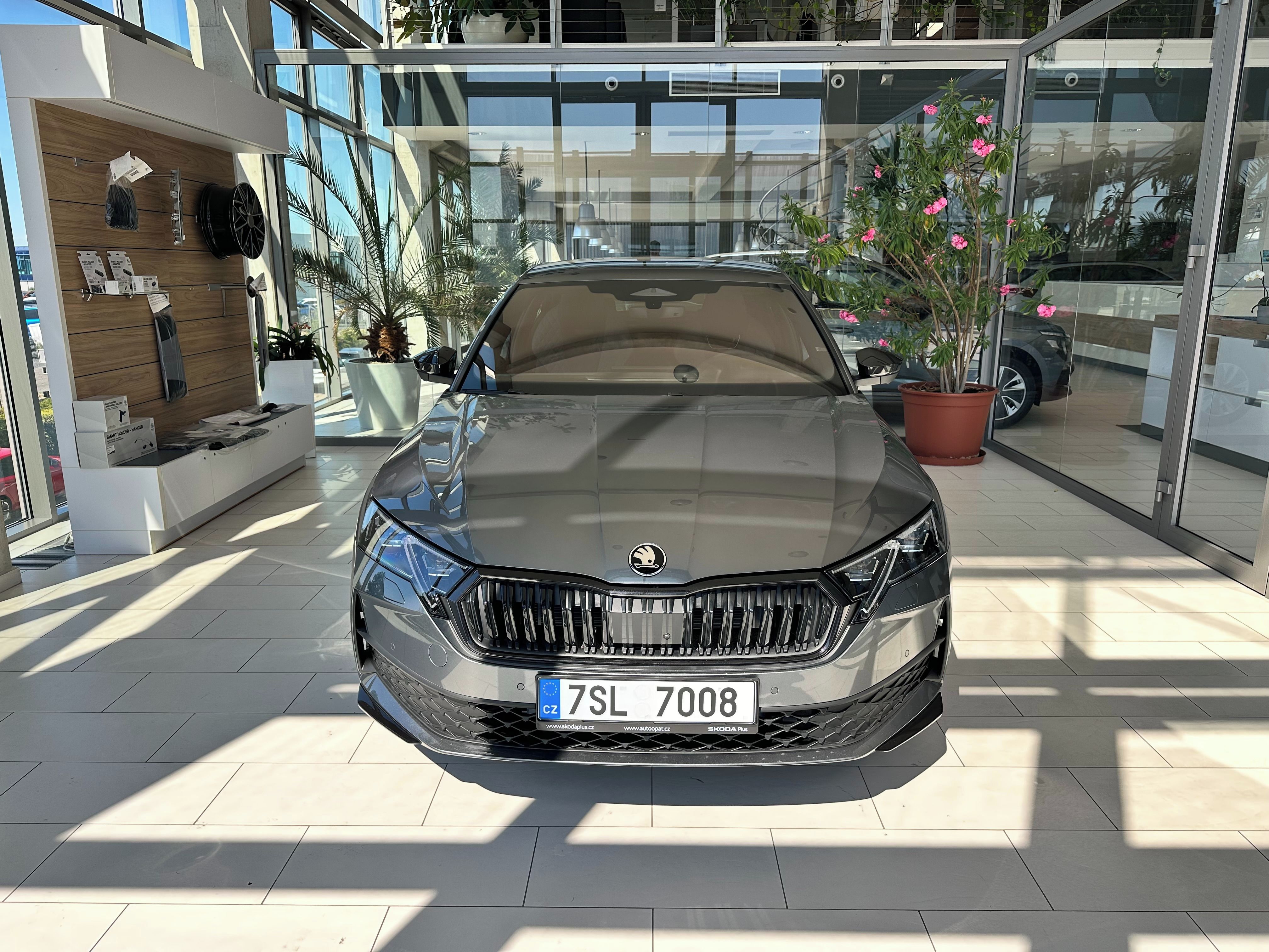 Škoda Octavia, 2,0 TDI 110 kW DSG - fotka 2