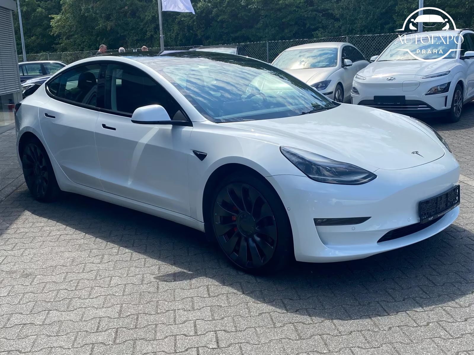 Tesla Model 3, PERFORMANCE*AWD*PANO*NAVI*LED