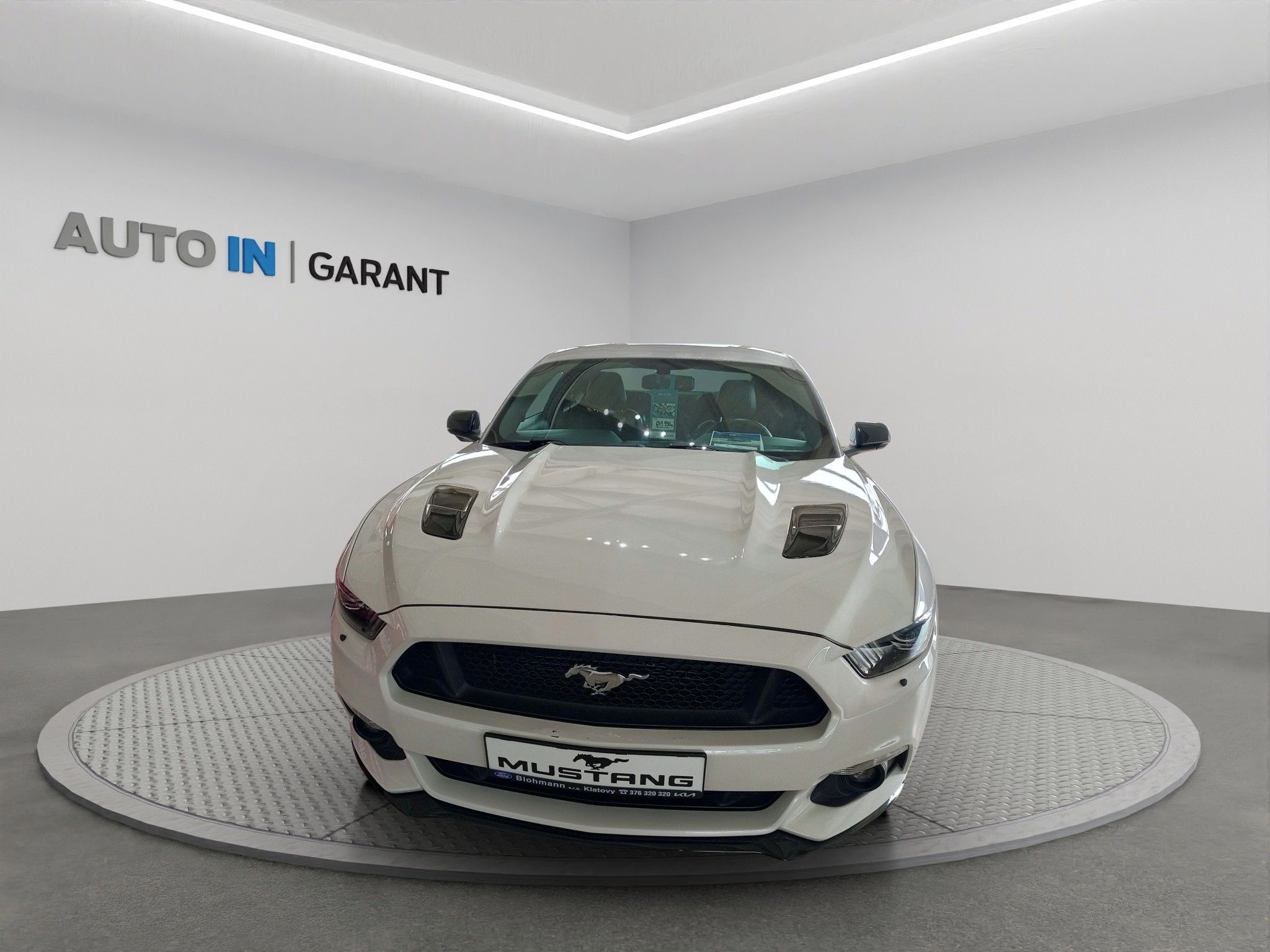 Ford Mustang, GT 5.0 V8 - fotka 2
