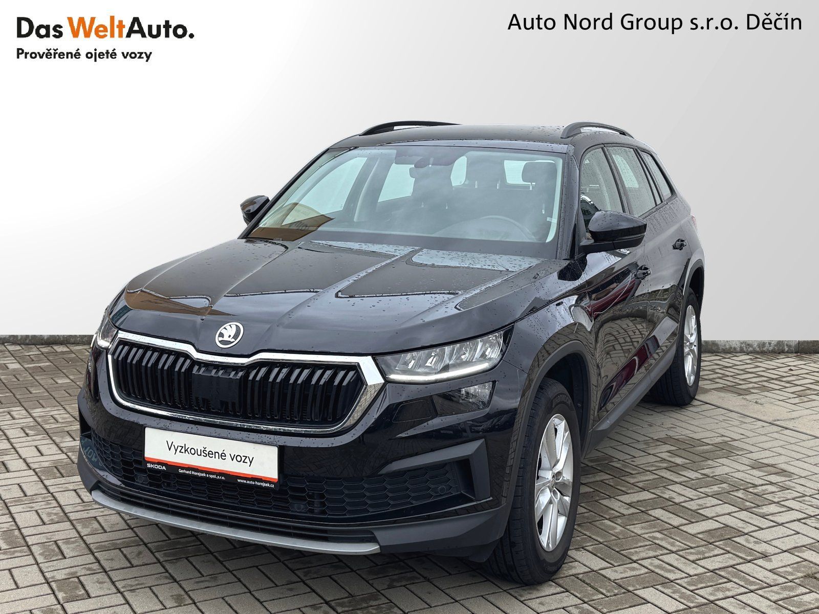 Škoda Kodiaq, Kodiaq 2.0 TDI 110 kW Ambition