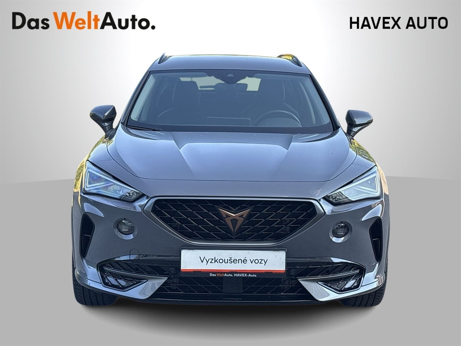 Cupra Formentor, 1.5 TSI DSG - fotka 4
