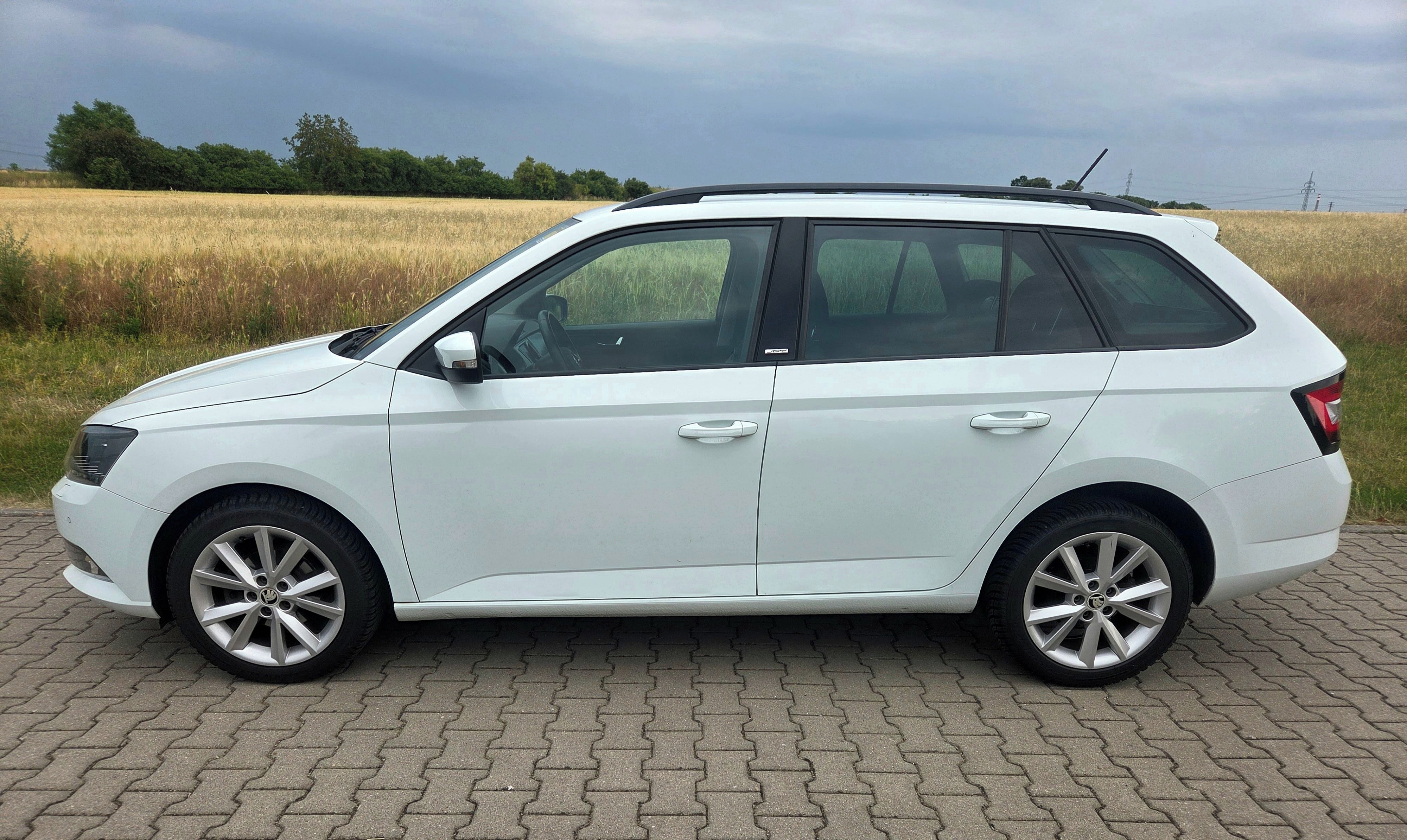 Škoda Fabia, Joy 1.4 TDI 66kw, tažné - fotka 5