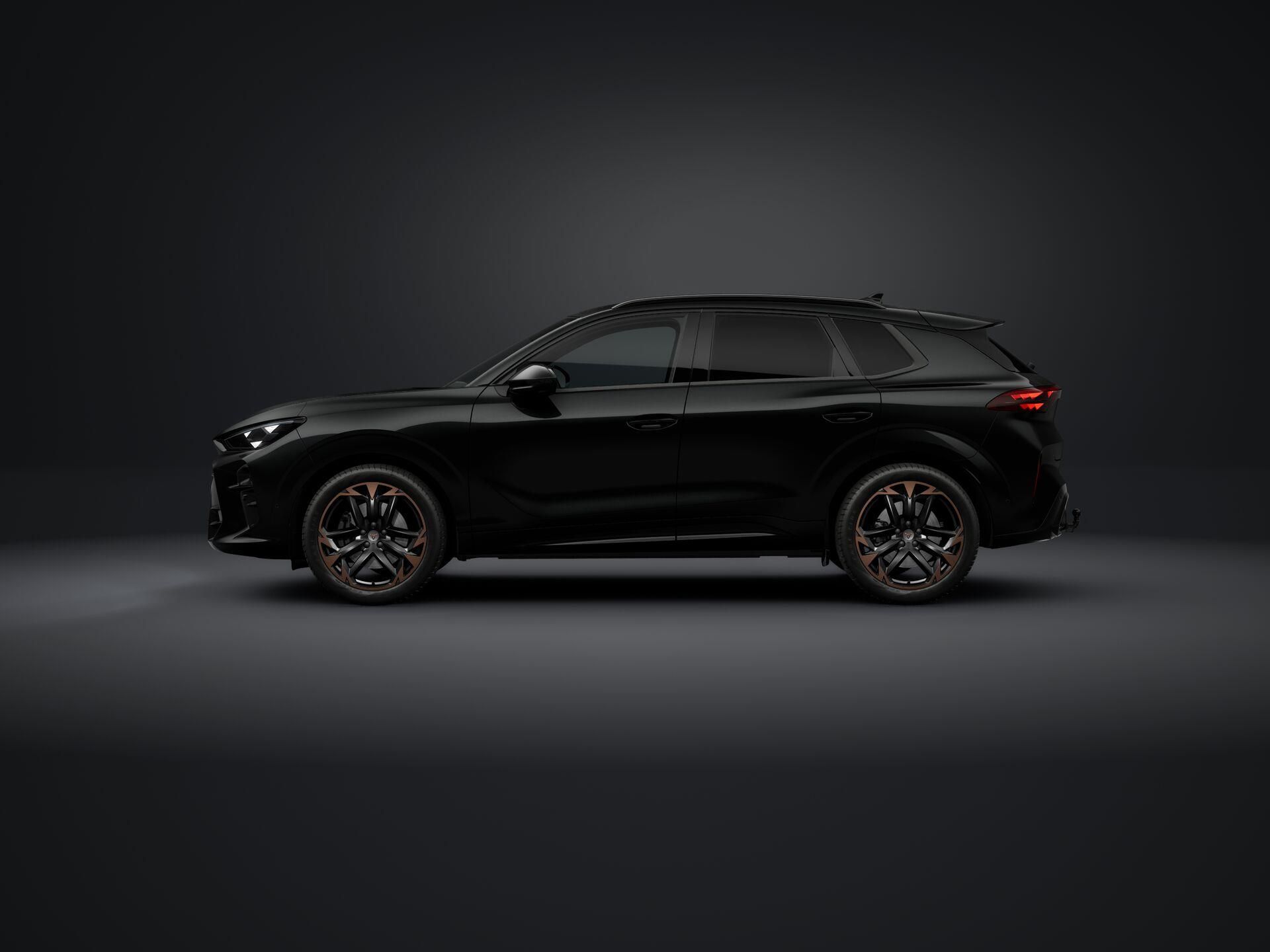 Cupra Terramar, 2.0 TSI 204k DSG 4WD - fotka 2