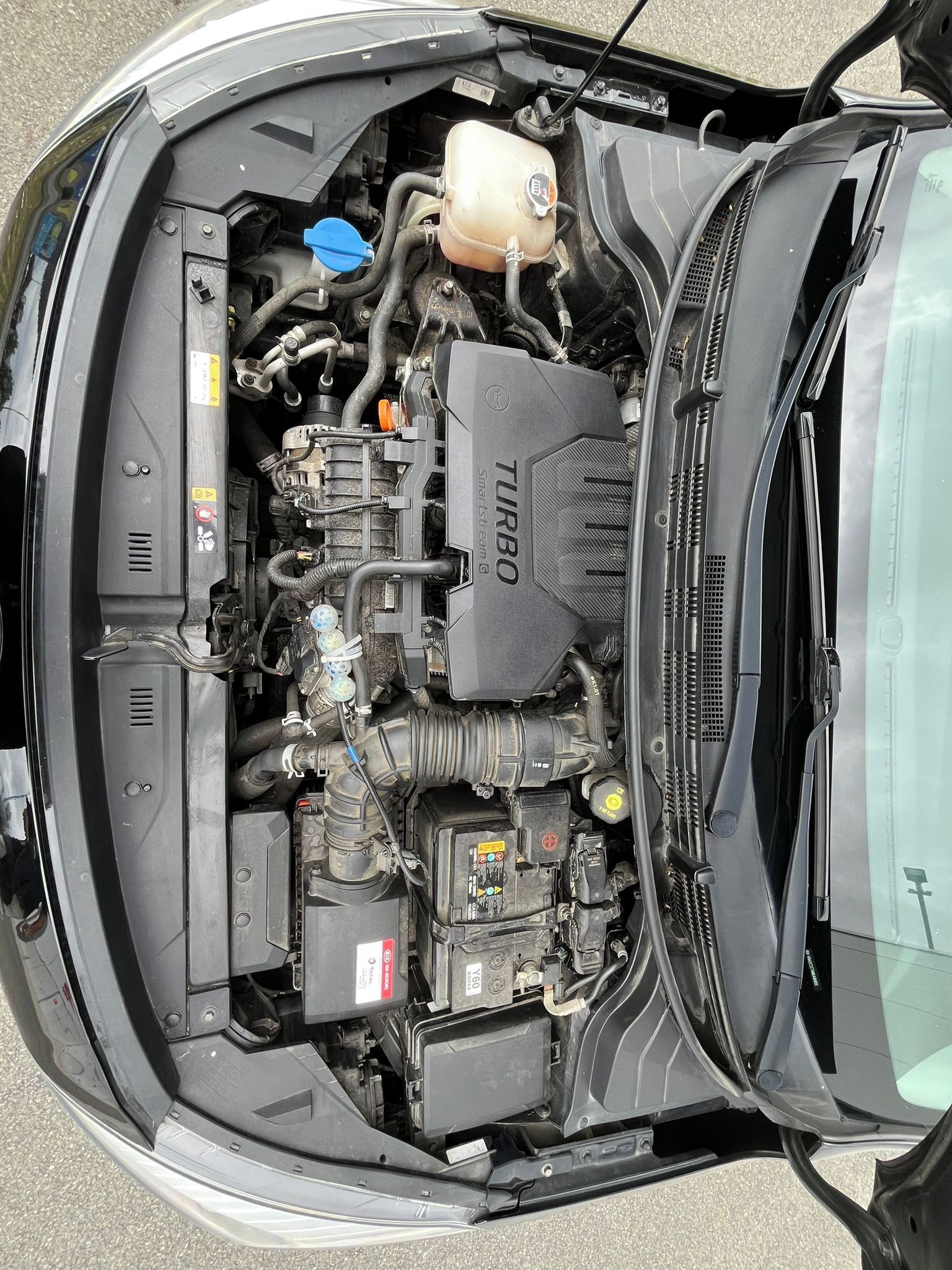 Kia Rio, KIA RIO 1.0 T-GDI Exclusive - fotka 6