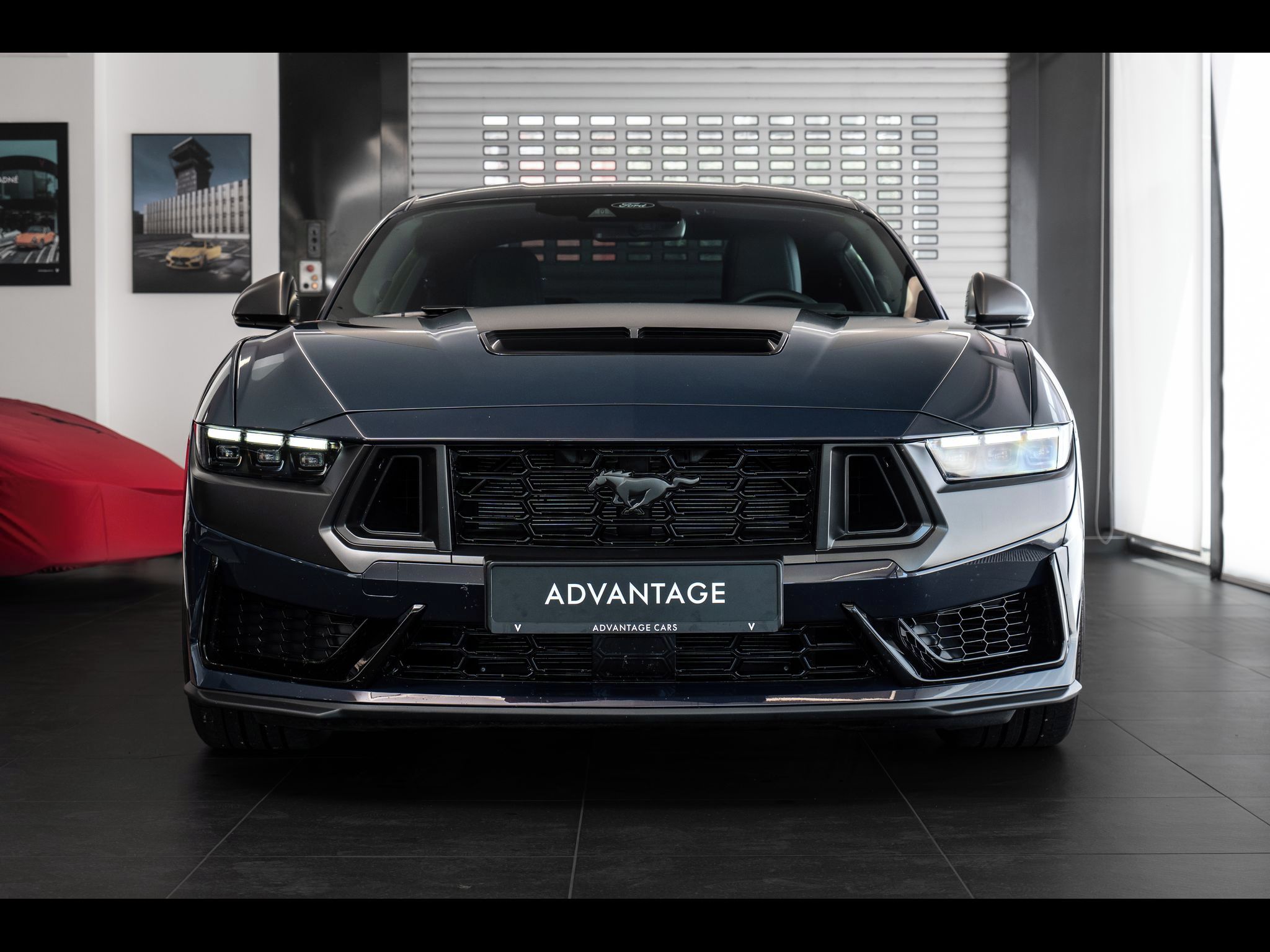 Ford Mustang, Dark Horse - fotka 2