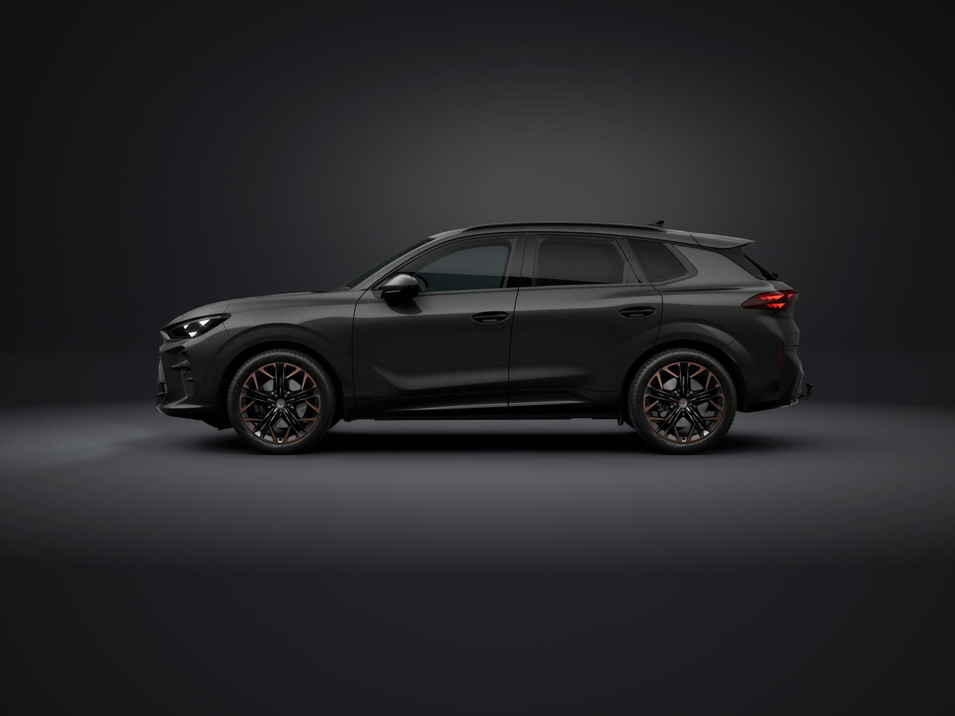 Cupra Terramar, 2.0 TSI 204k DSG 4WD - fotka 2