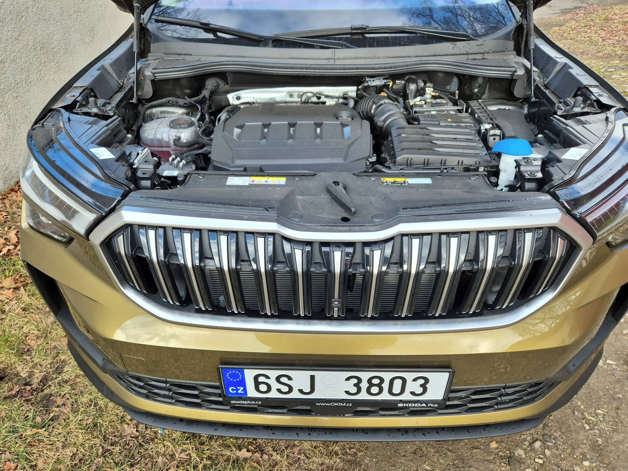 Škoda Kodiaq, 2,0 TDI 4x4 142kW 7 míst - fotka 3