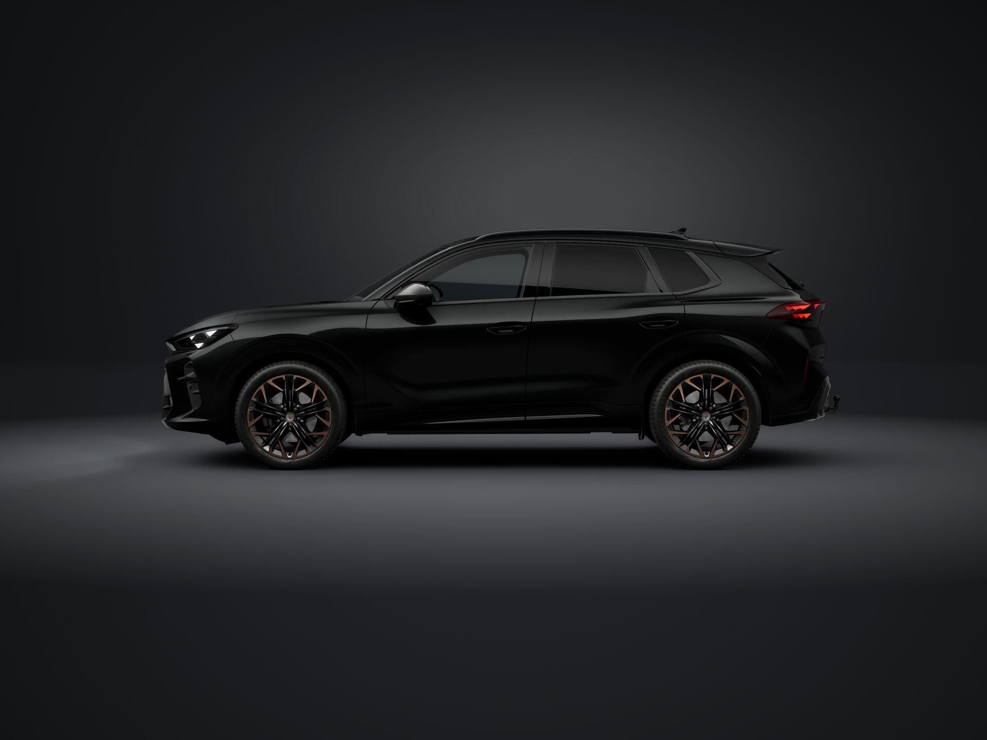 Cupra Terramar, 2.0 TSI 204k DSG 4WD - fotka 2