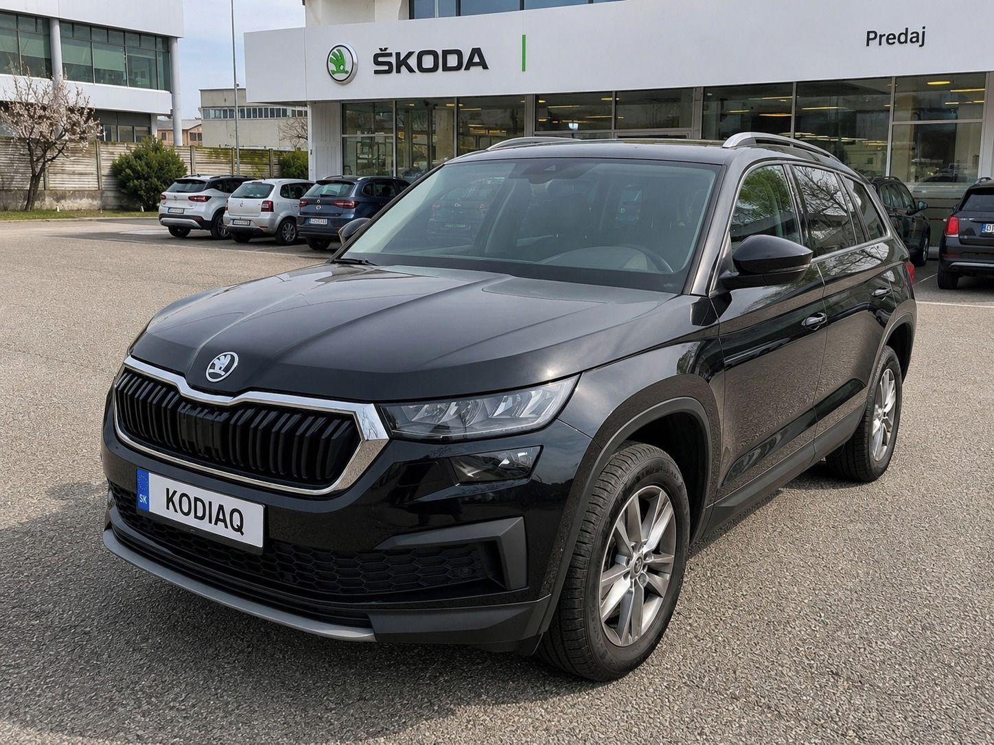 Škoda Kodiaq, Virtual,Top stav