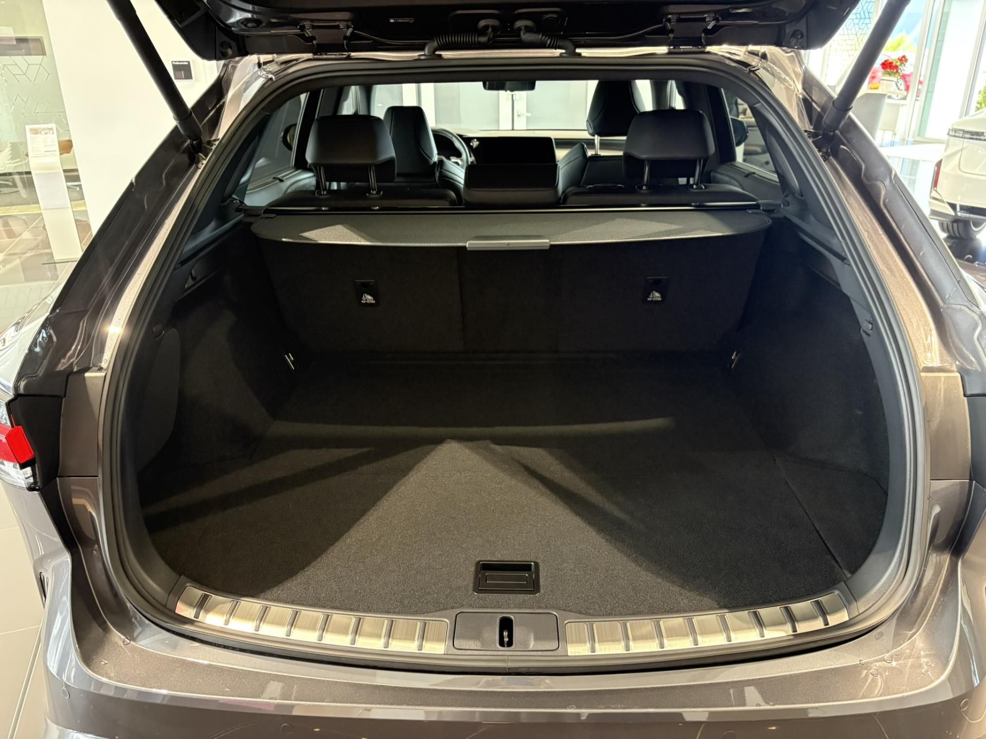 Lexus RX 500h, RX 500h F SPORT + panoramic ro - fotka 6