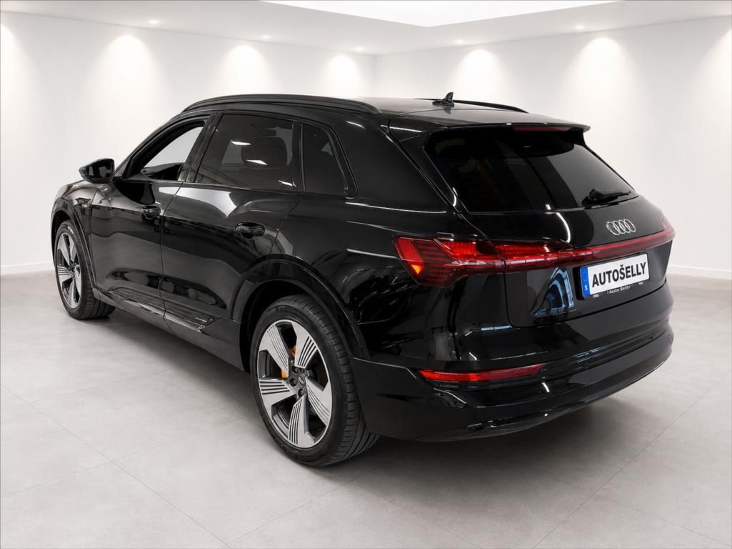 Audi e-tron, 50 Quattro Proline Limited - fotka 2