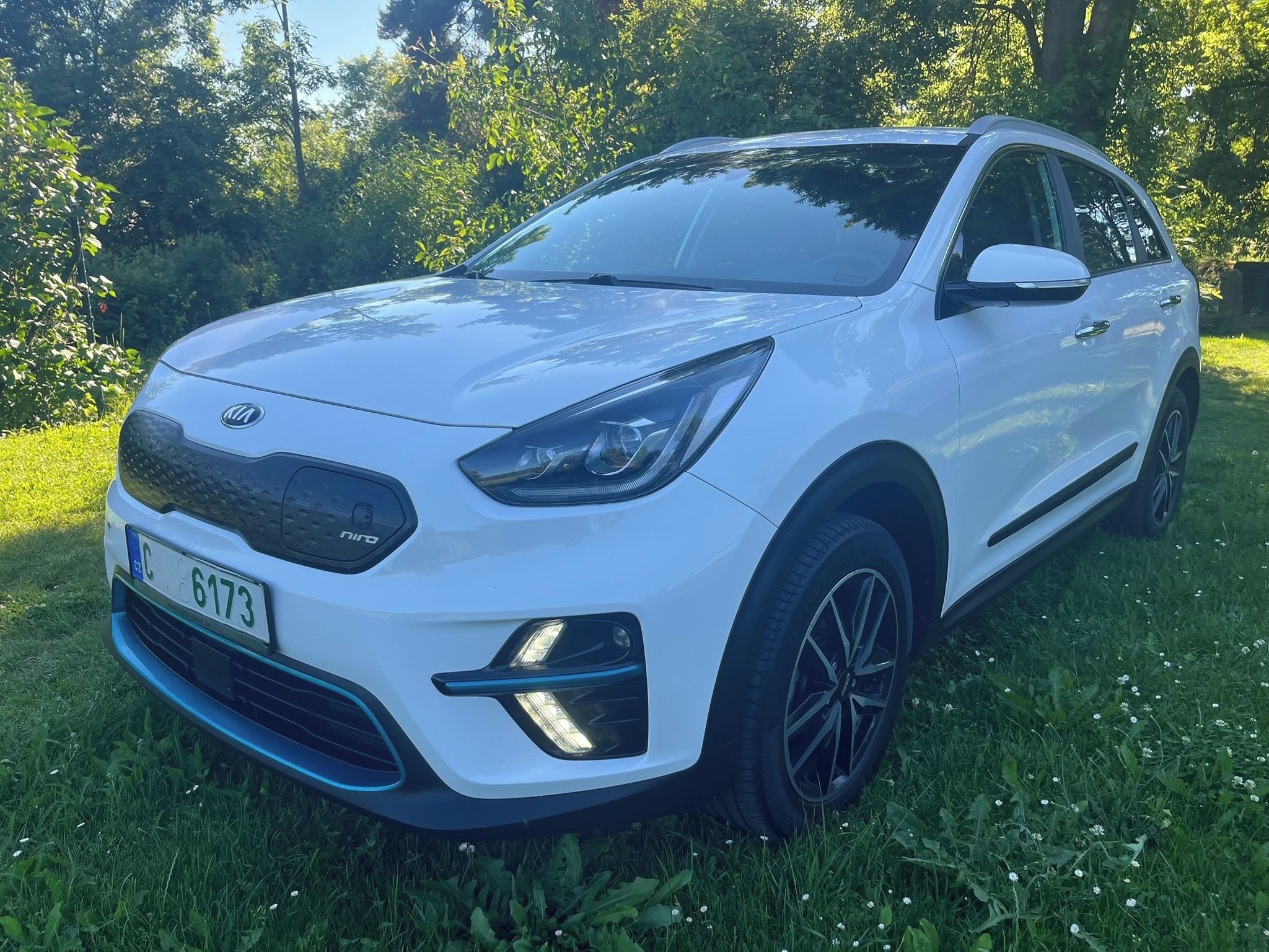 Kia Niro EV, SPIRIT 64 kWh,  SOH 100%
