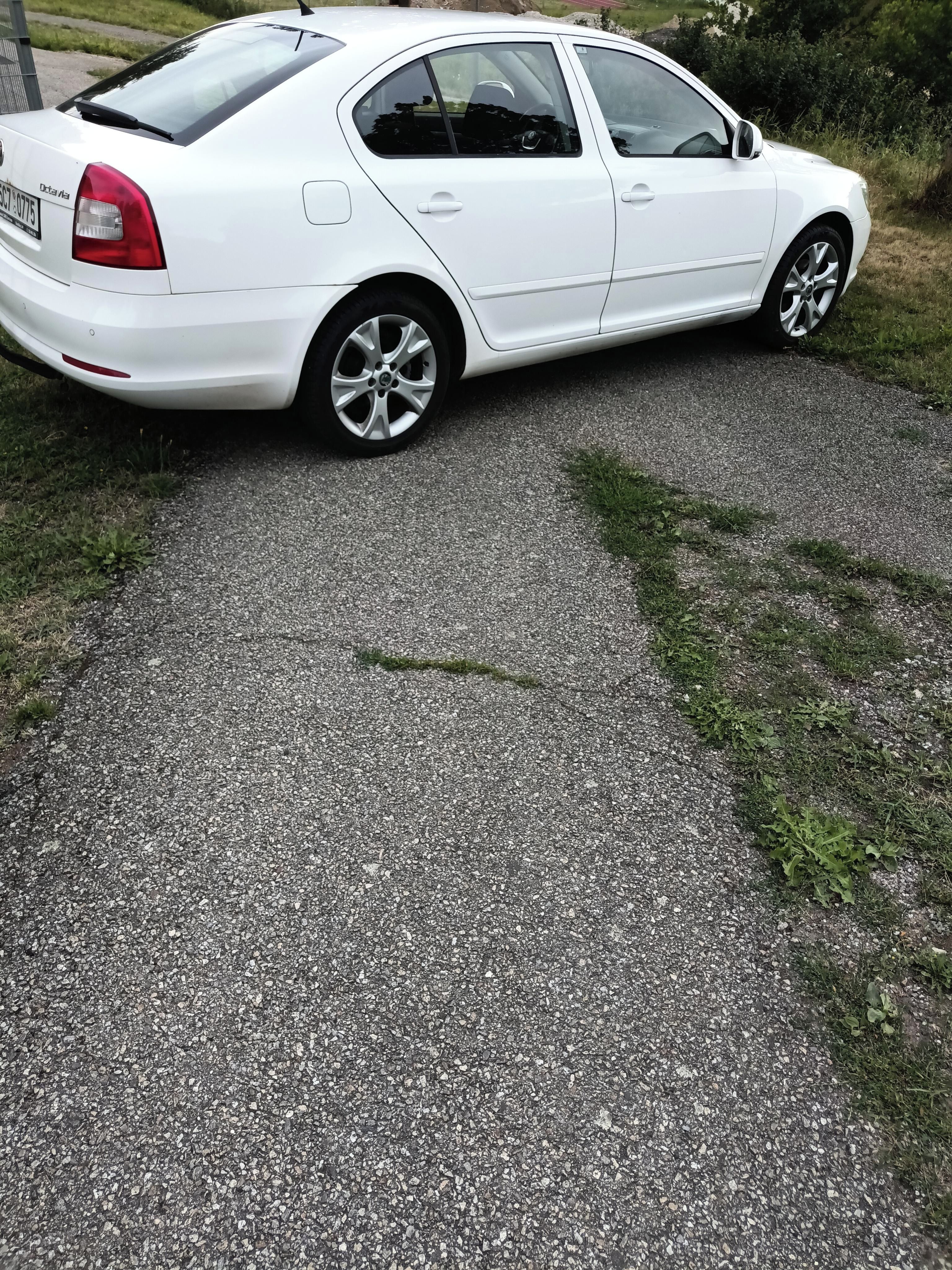 Škoda Octavia, 1.6 TDI 77KW servírováno - fotka 5