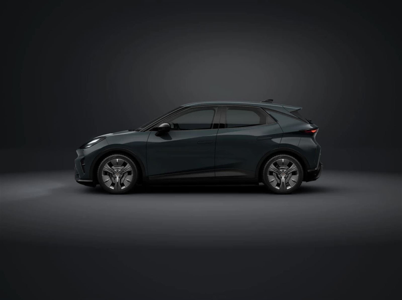 Cupra Raval, Endurance - fotka 2