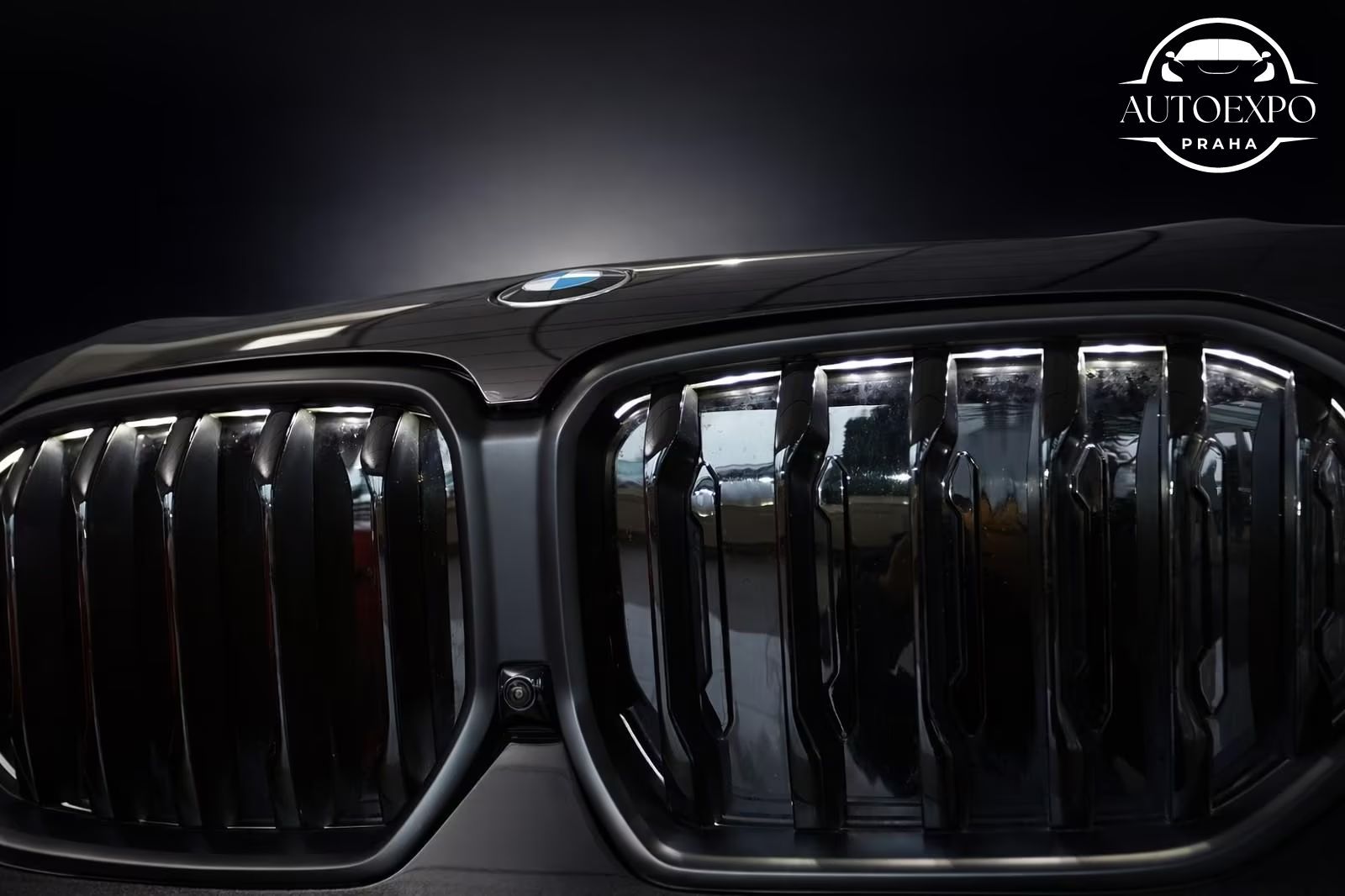 BMW X6, xDrive30d M SPORT*PANORAMA - fotka 6
