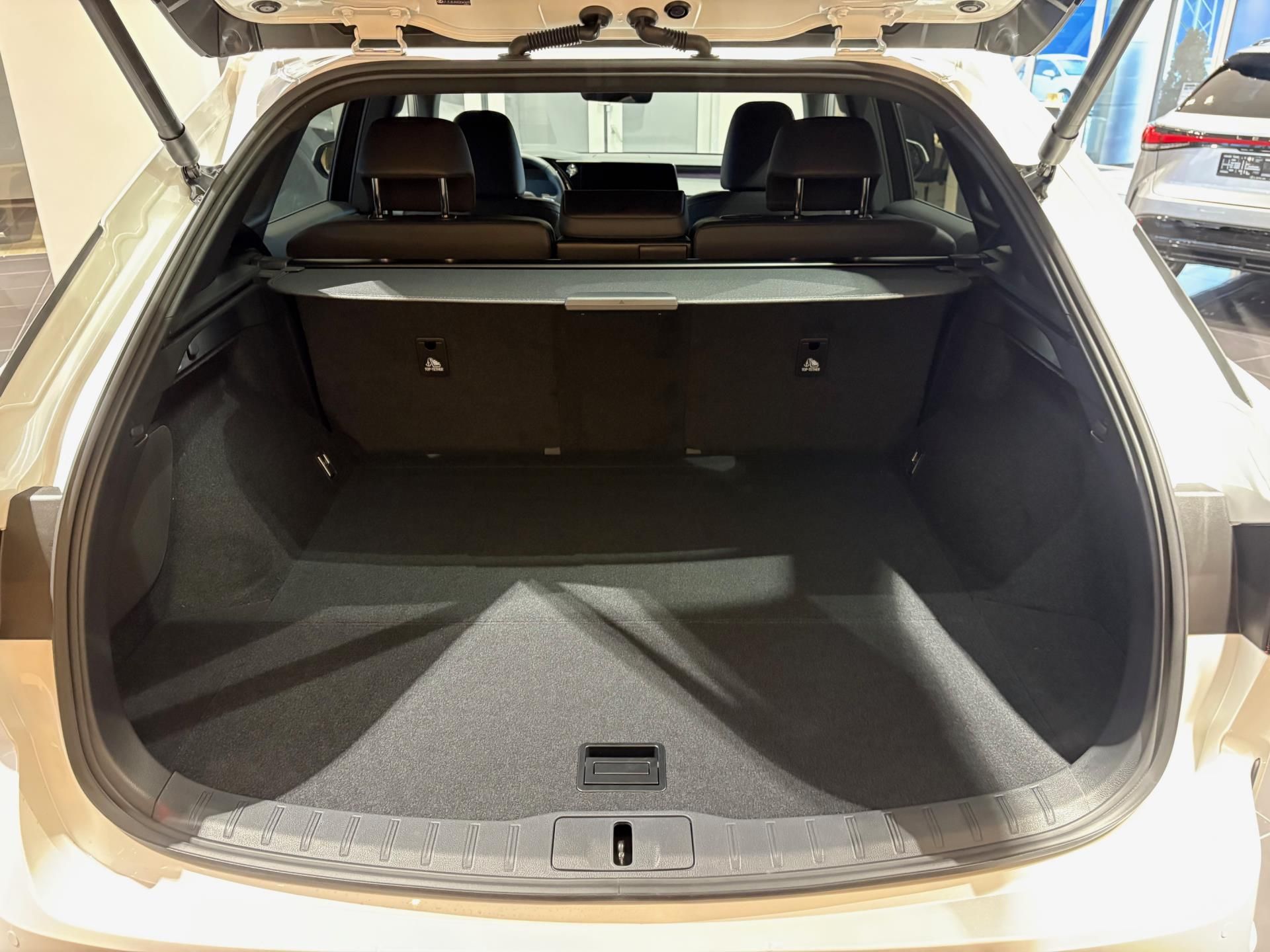 Lexus RX 350h, EXECUTIVE PLUS 4x4 - fotka 6