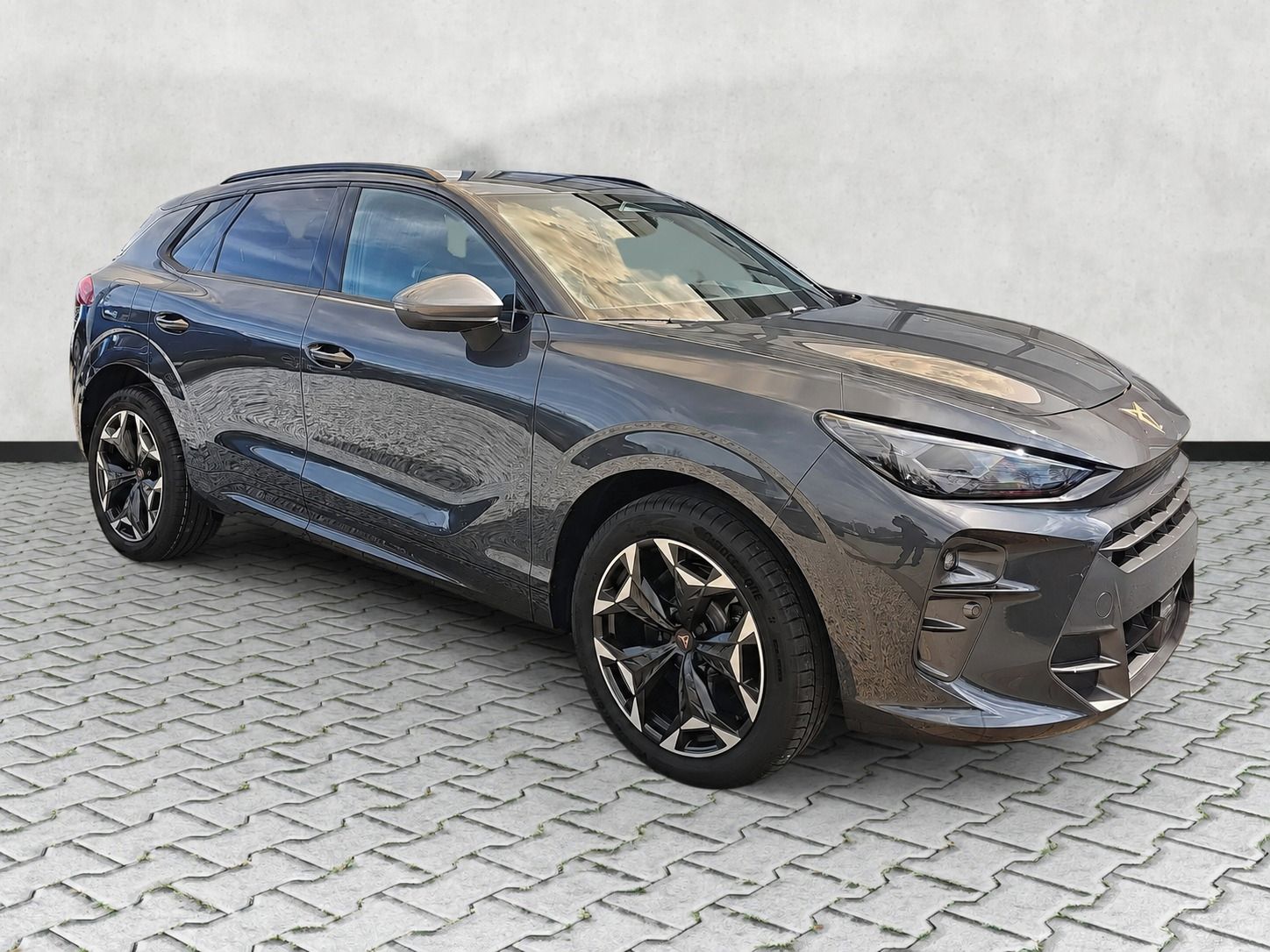 Cupra Terramar, VZ 265 PS, Sleva z ceníku 29%