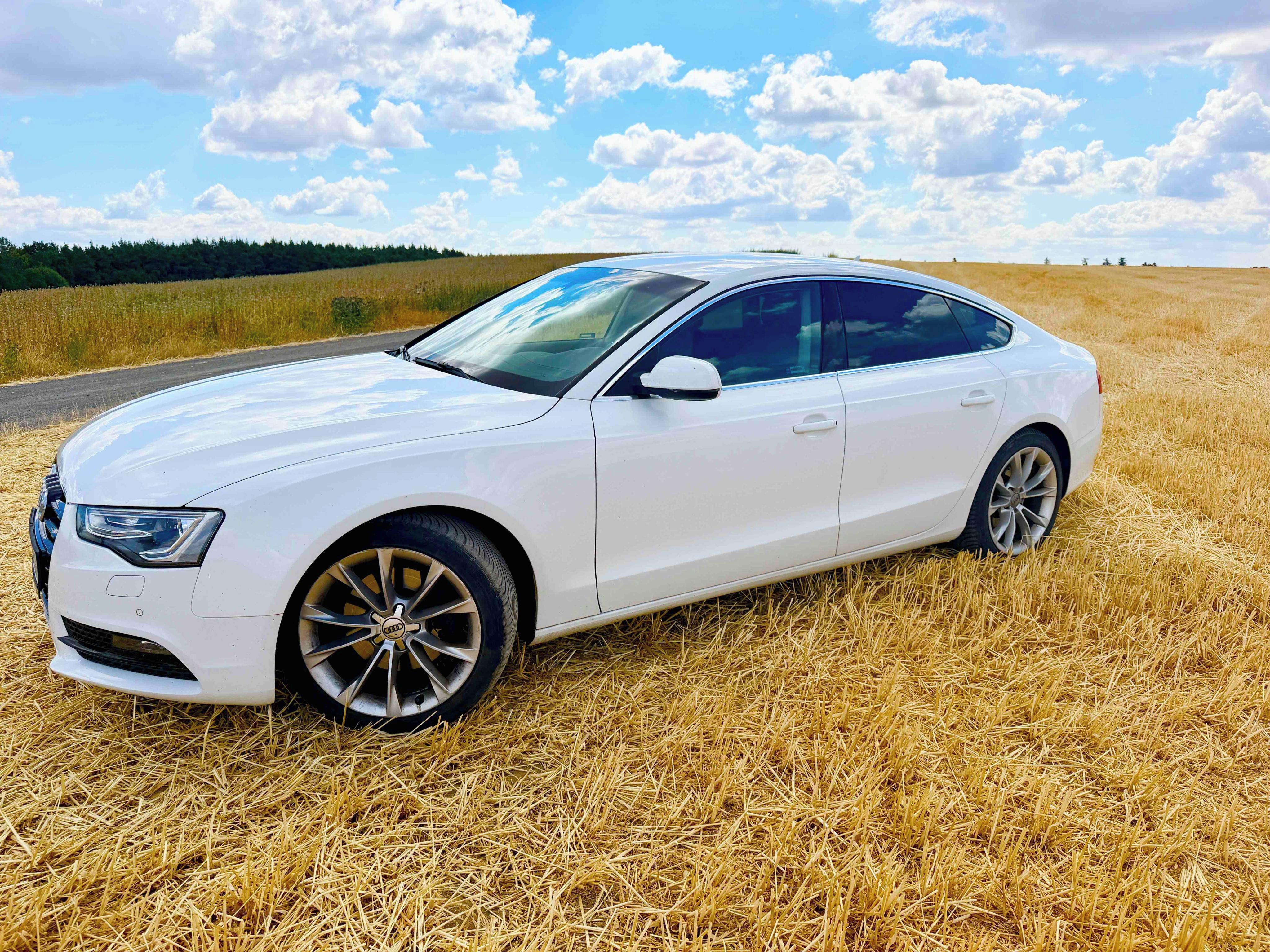 Audi A5, AUDI A5  3.0 TDI  4x4   S-LINE - fotka 3