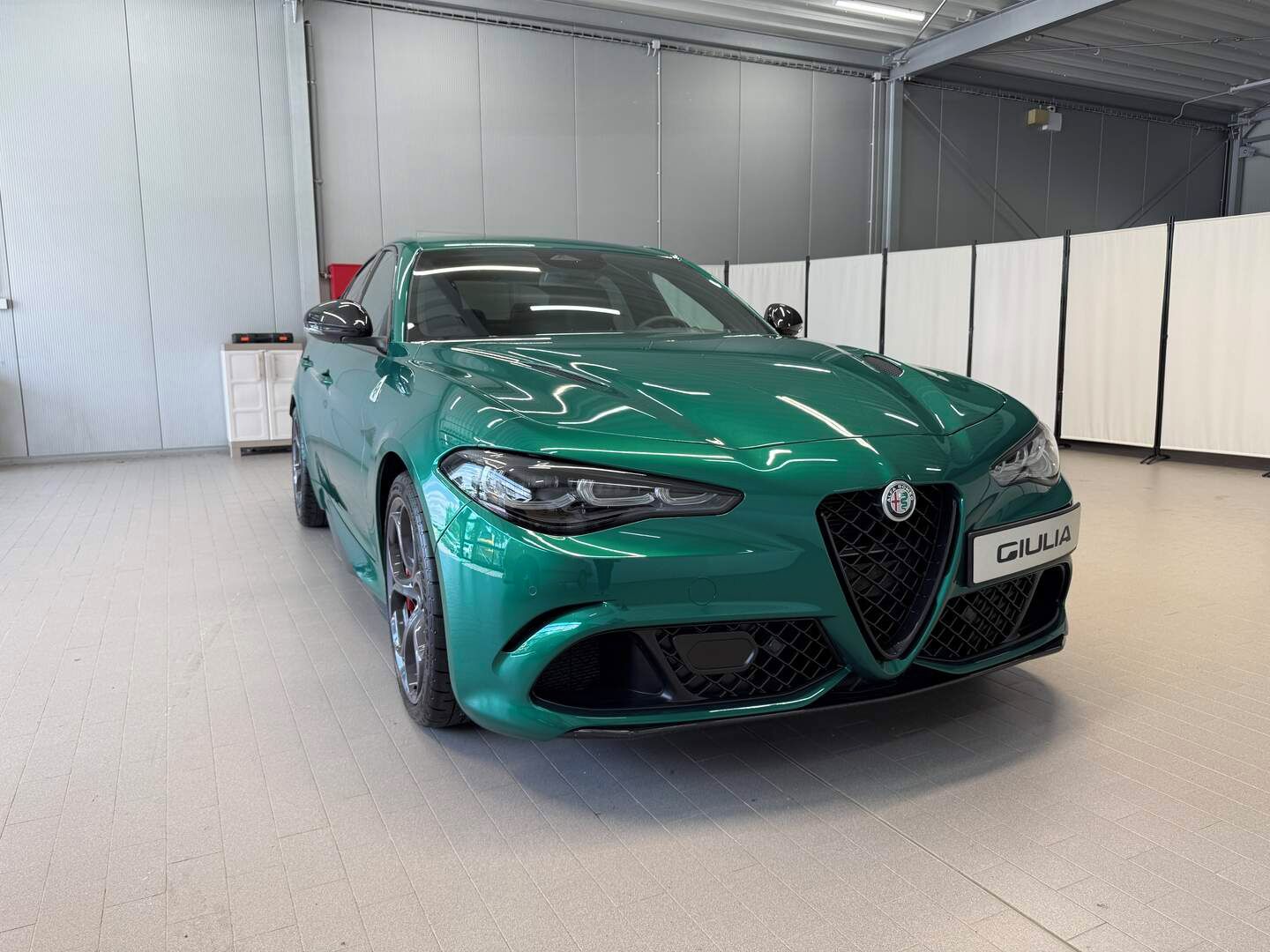 Alfa Romeo Giulia, Quadrifoglio 2.9 V6 BiTurbo 52 - fotka 6