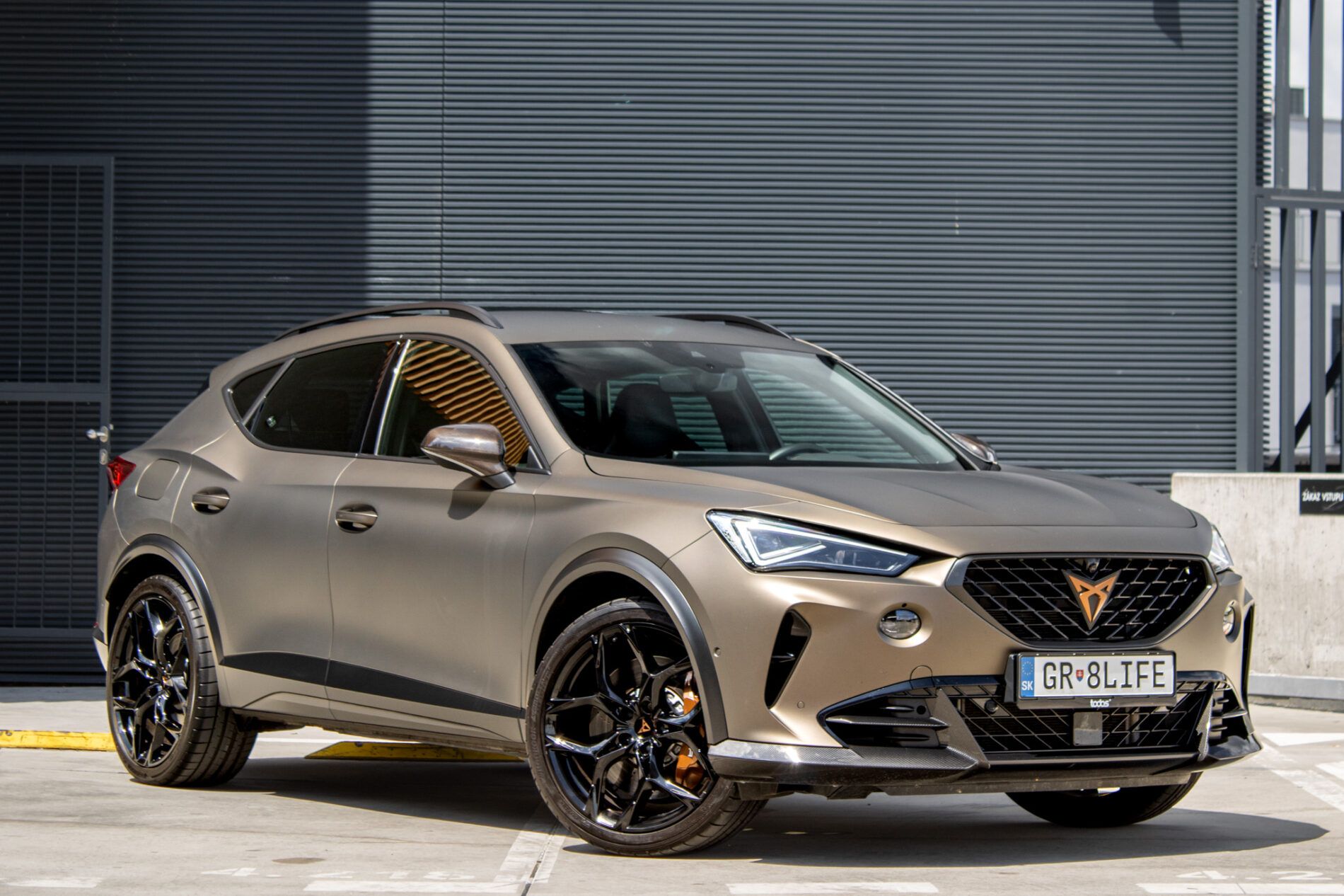 Cupra Formentor - fotka 3