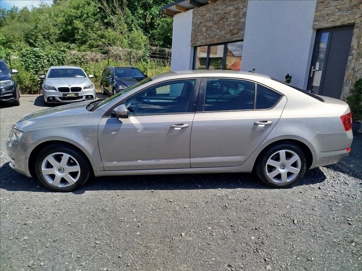 Škoda Octavia, 1,2 TSi 77 kW, DSG, NAVI, PARK - fotka 3